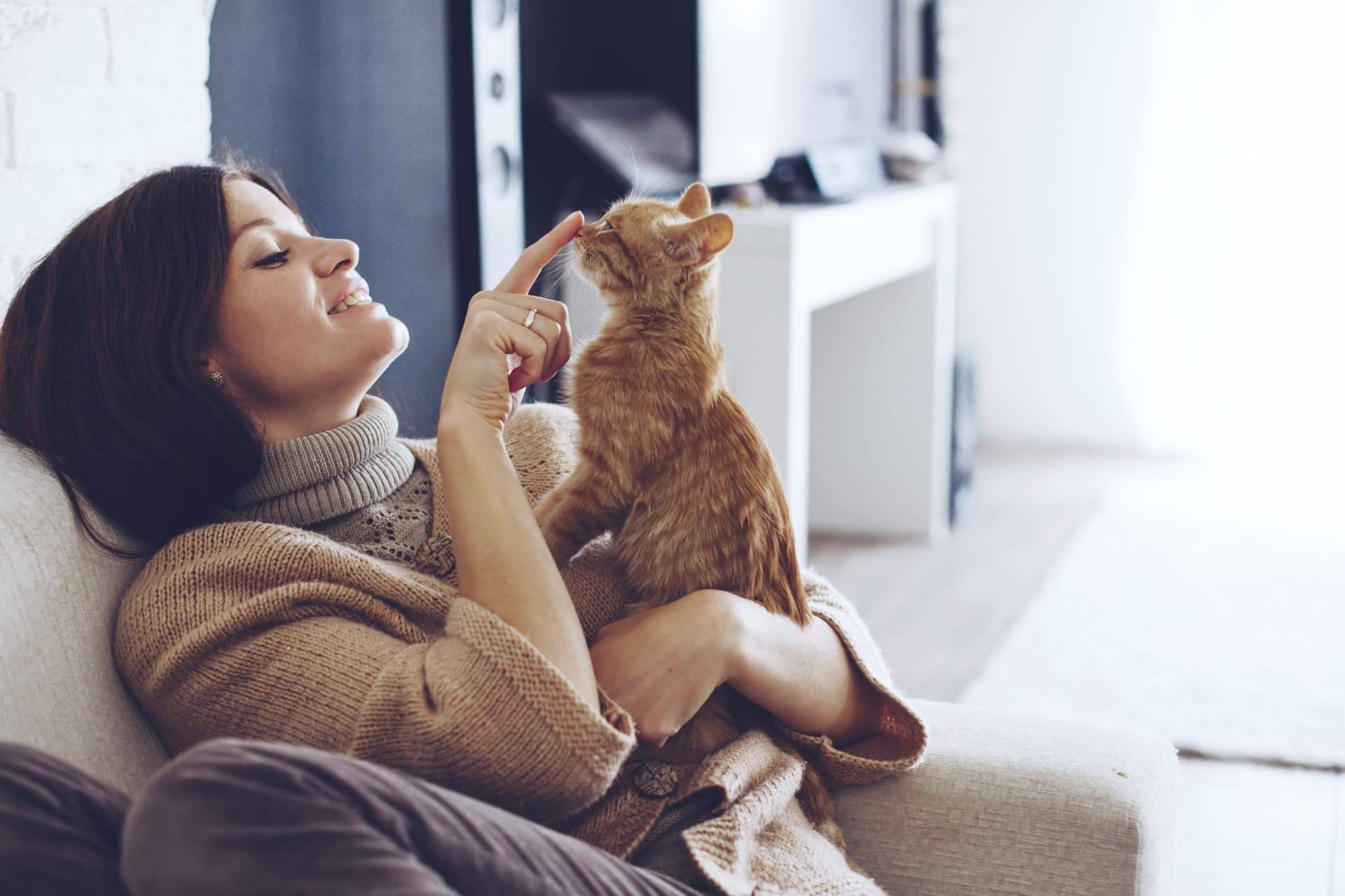 Consejos para garantizar una buena convivencia con perros y gatos. La antrozoología y etología del perro y del gato