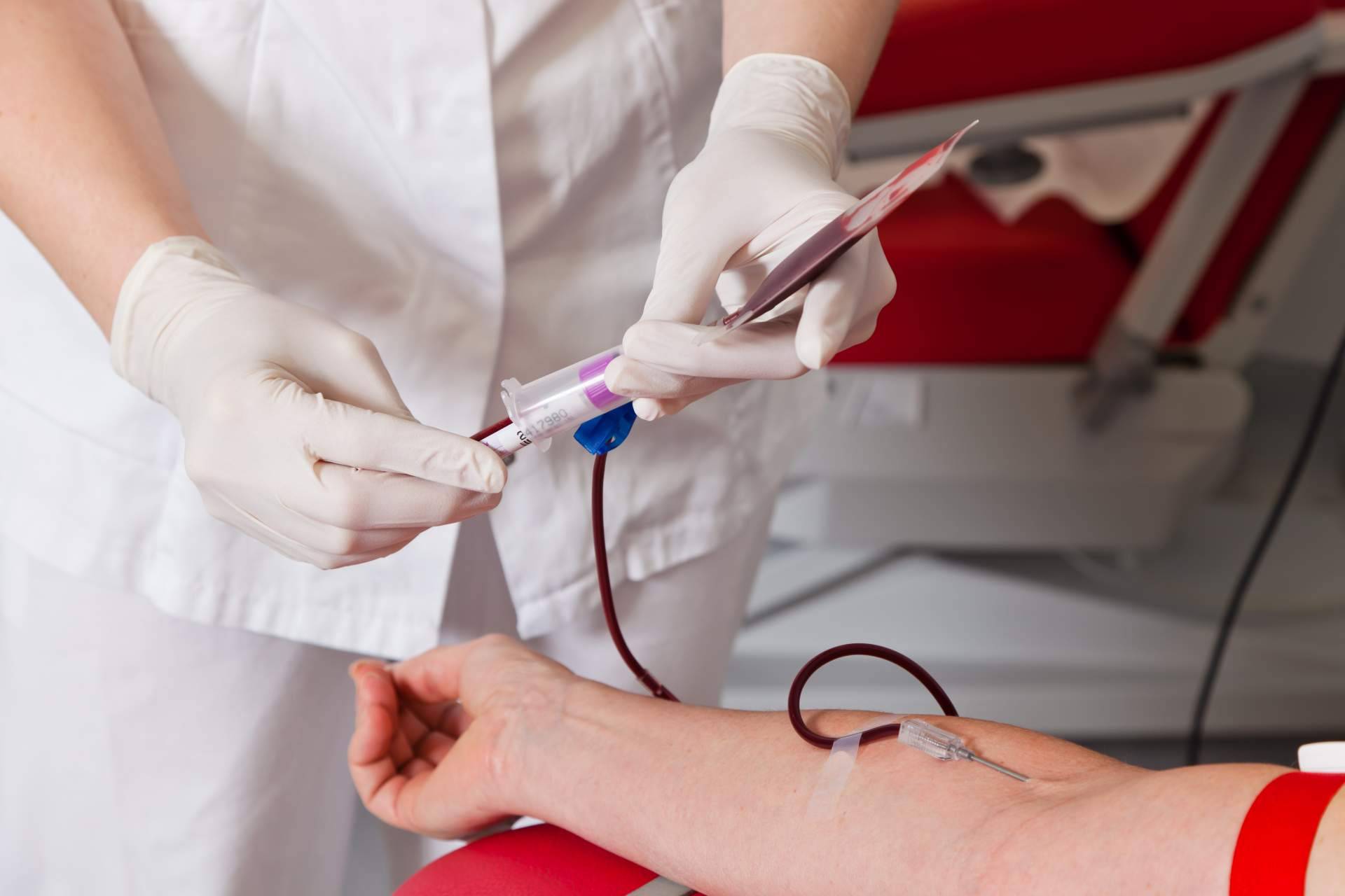 Ayurveda Medicina Natural habla de donar sangre en otoño y primavera, una acción solidaria que beneficia la salud