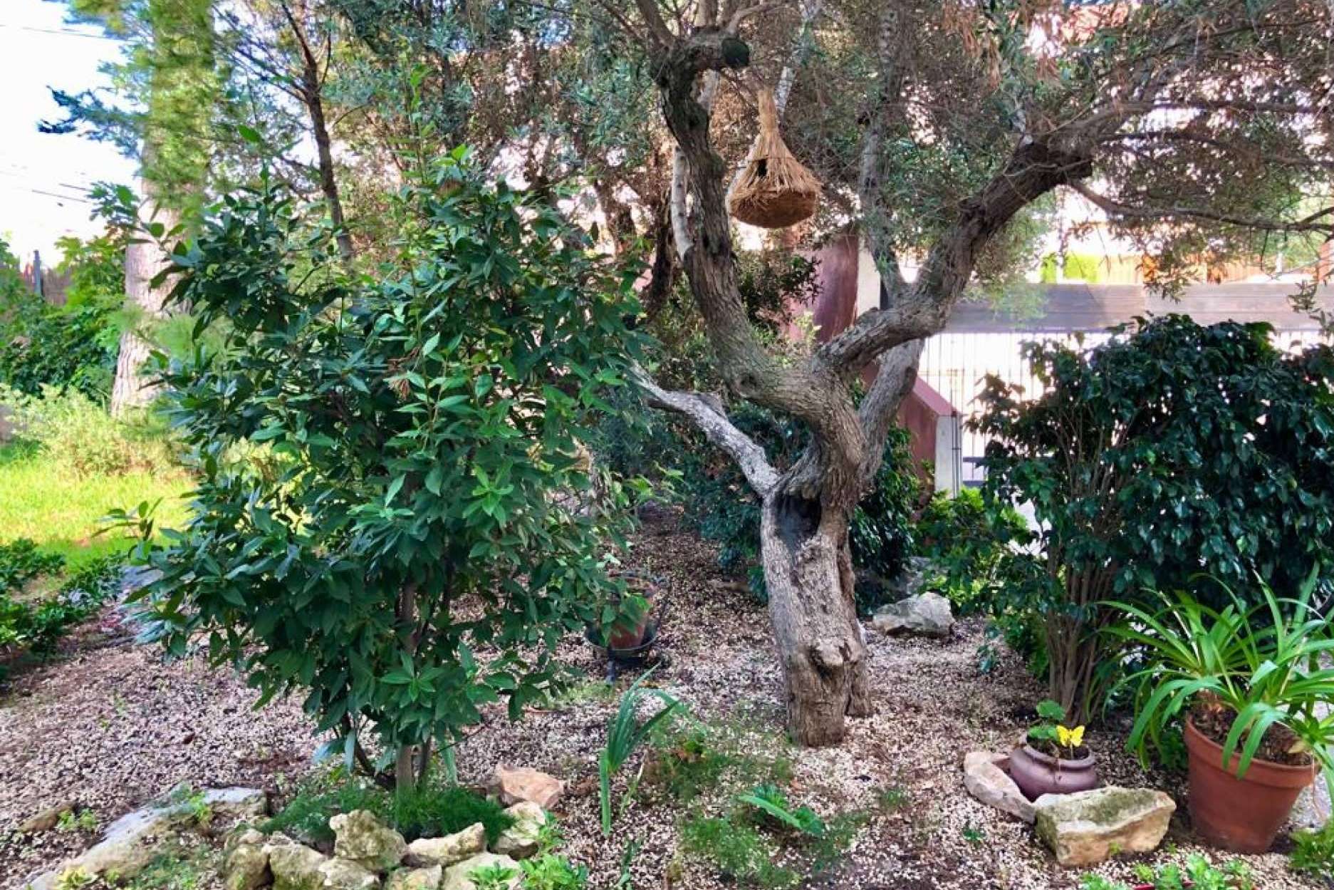 Mansión en venta en entorno de playa y jardín con piscina particular