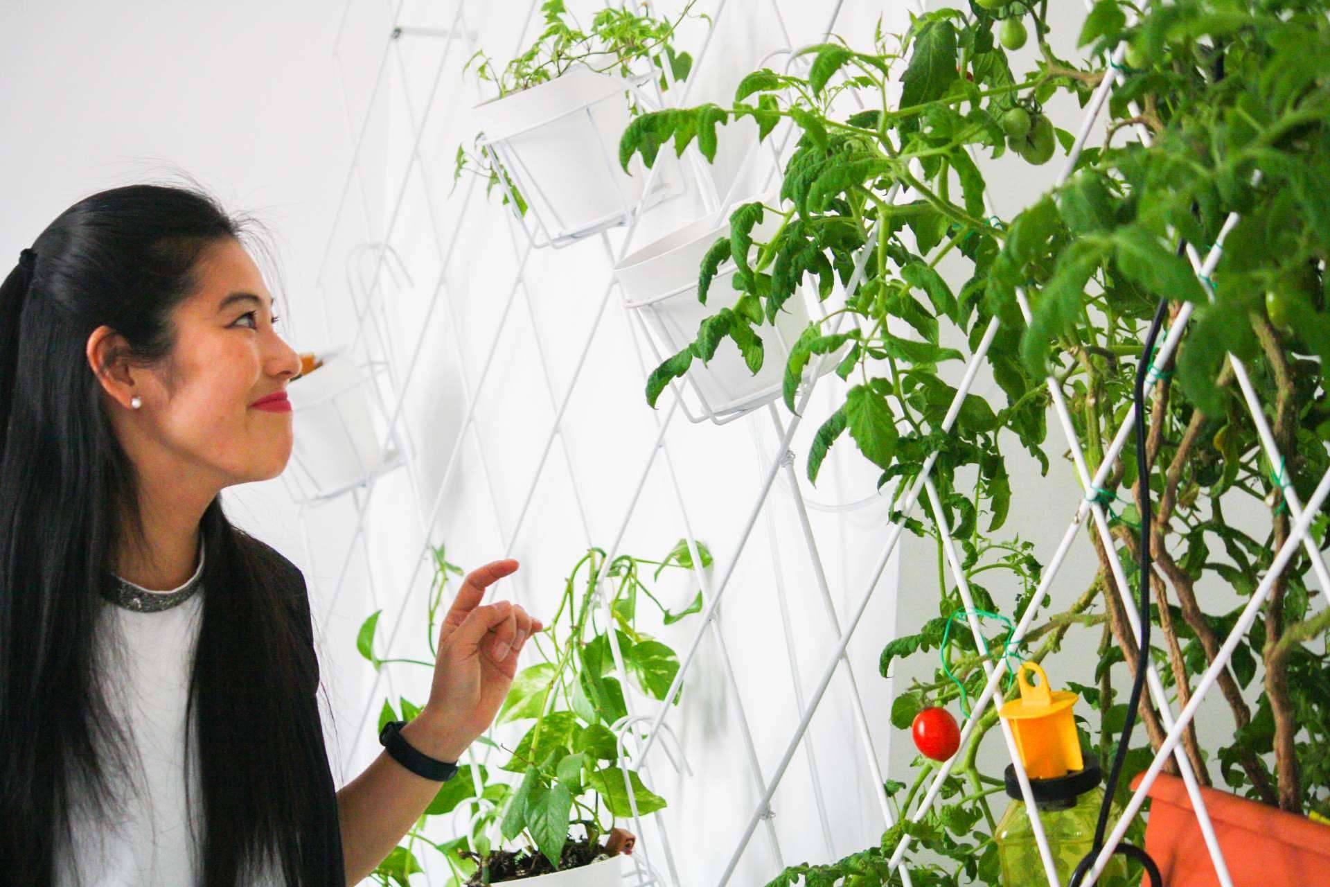 Los habitantes de Urban Campus crean espacios verdes para vivir y trabajar con nuevas startups nacidas de la colaboración