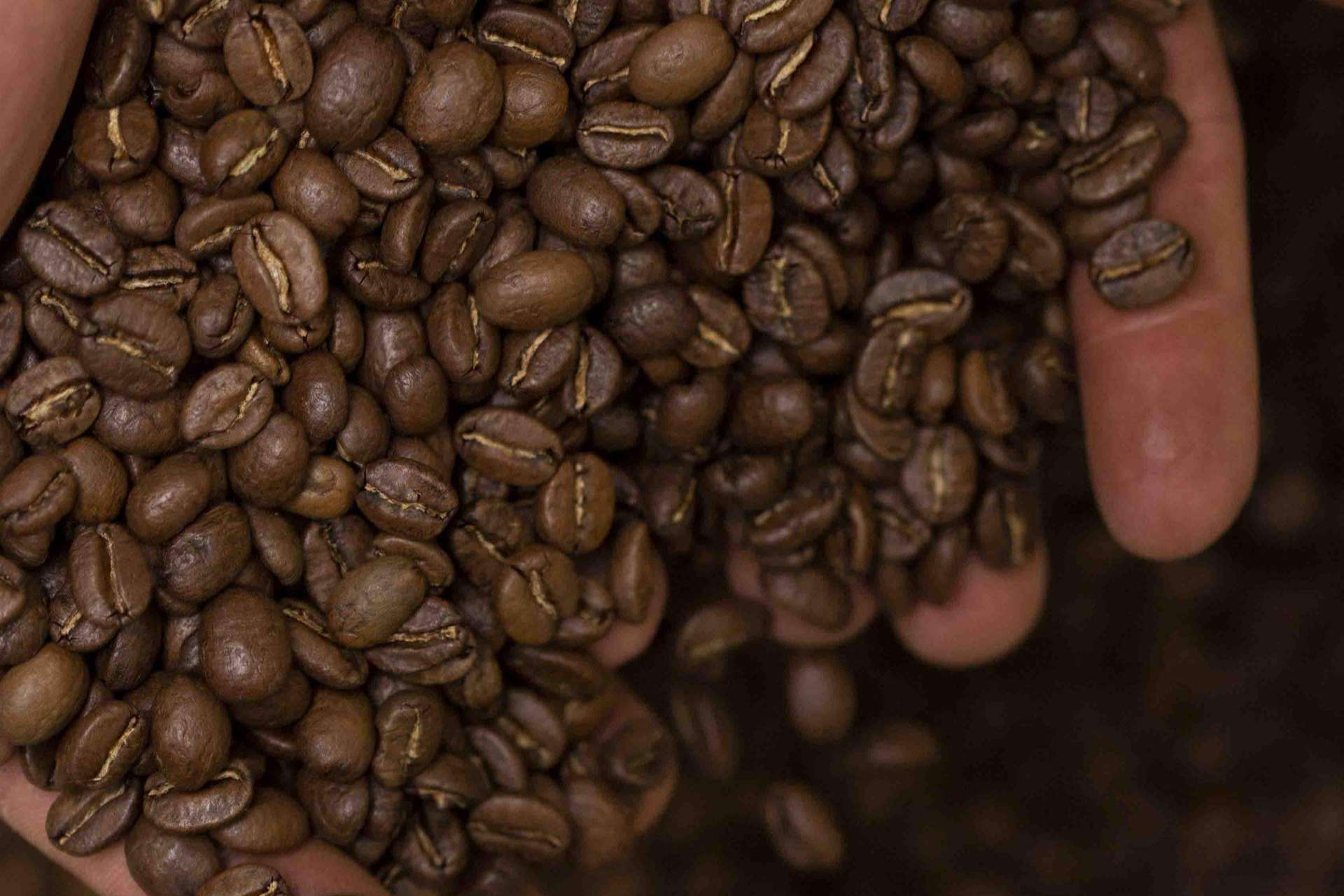 Un tesoro al alcance de todo el mundo gracias a Syra Coffee, el café de especialidad