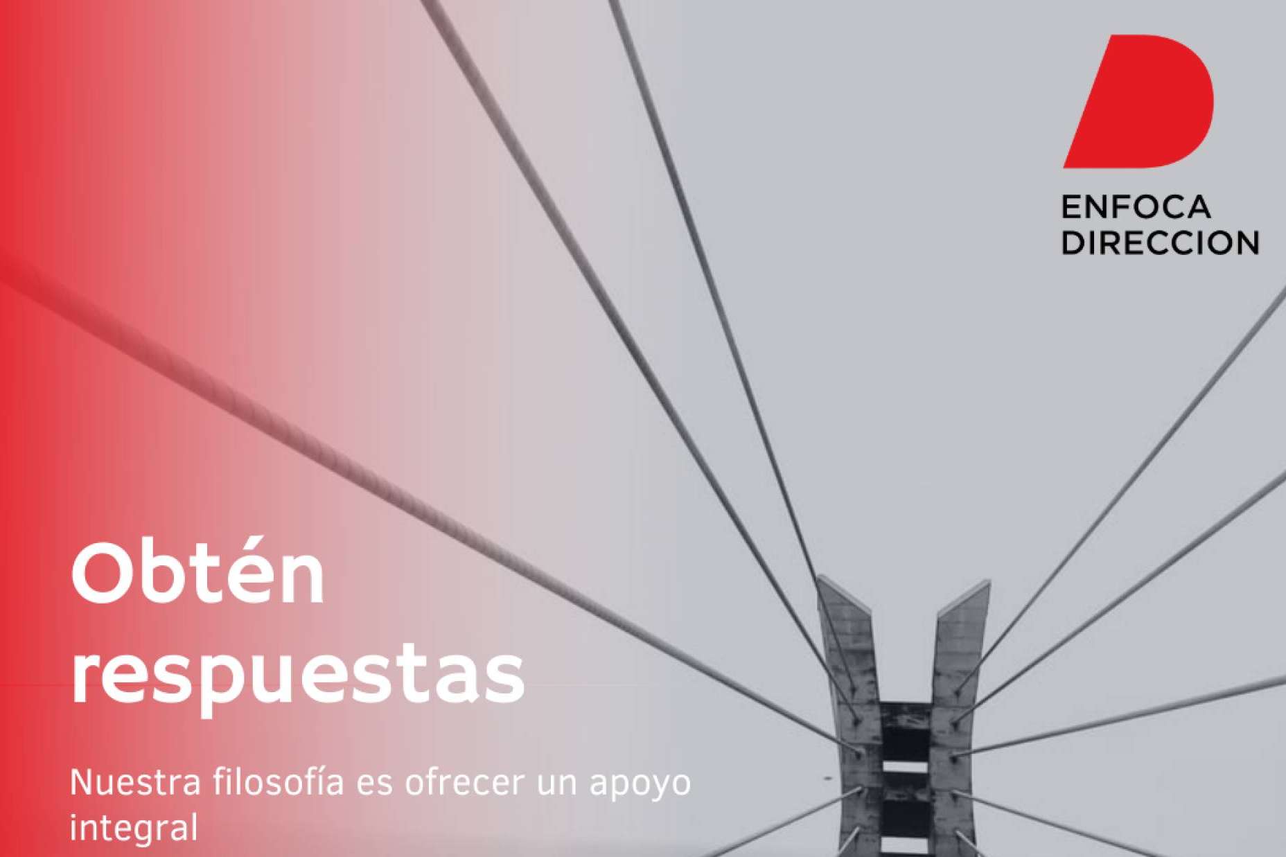 Los tipos de financiación para empresas en la actualidad, por Enfoca Dirección