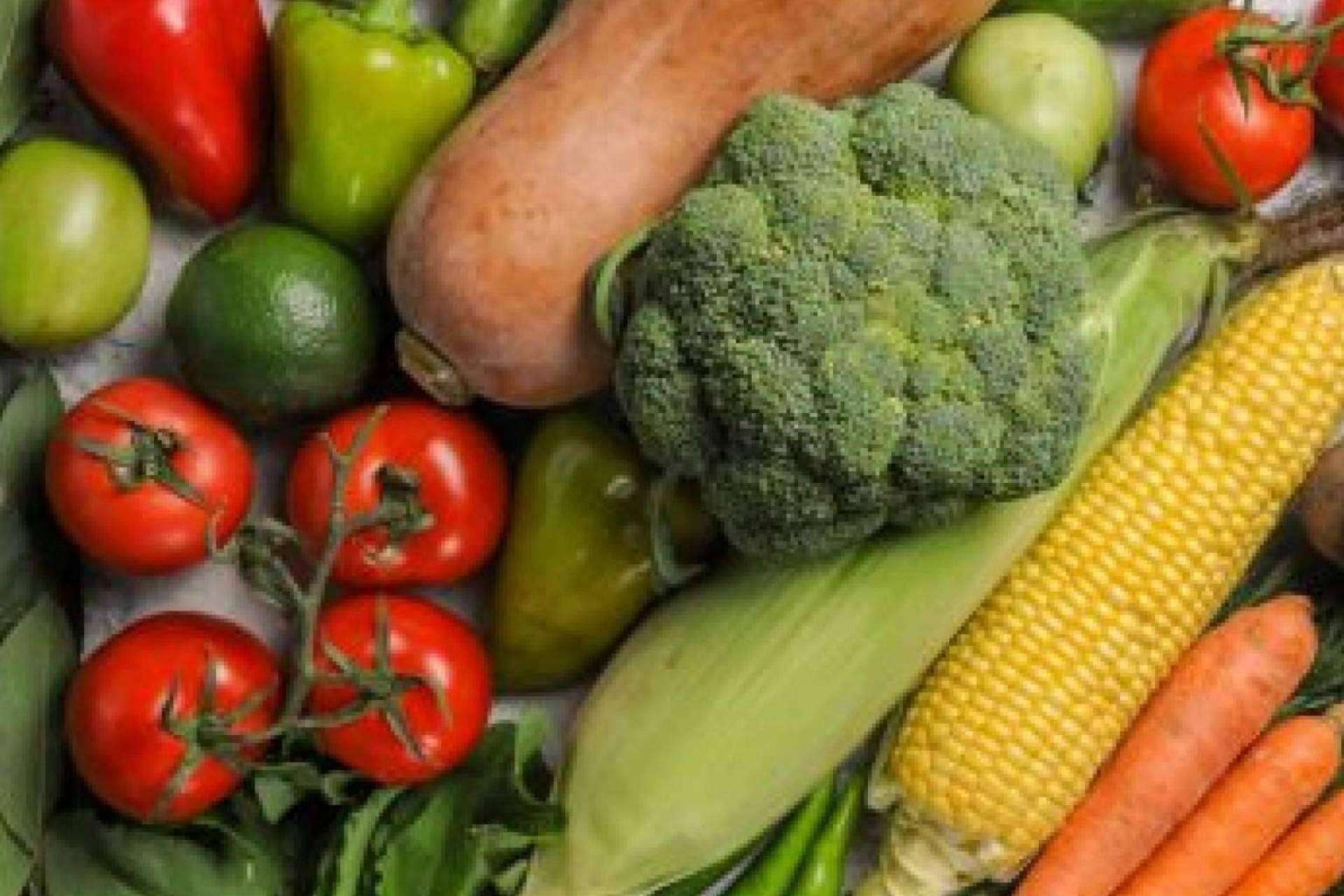 Los beneficios de los alimentos antioxidantes, la videoconferencia de la Dra. Paloma Pérez del Pozo