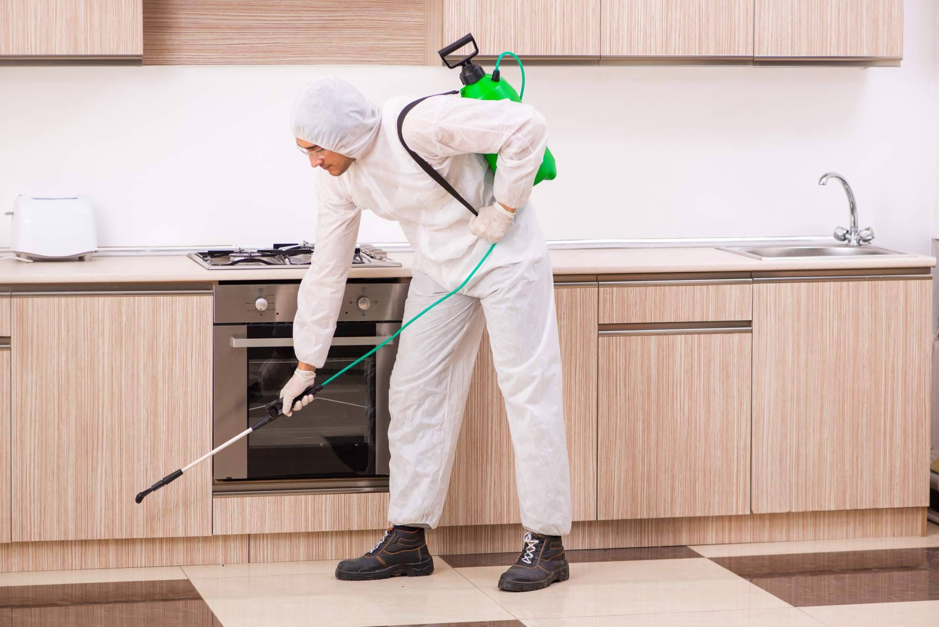 ¿Cuál ha sido el impacto de la pandemia en las empresas de desinfección y control de plagas? LEU Servicios