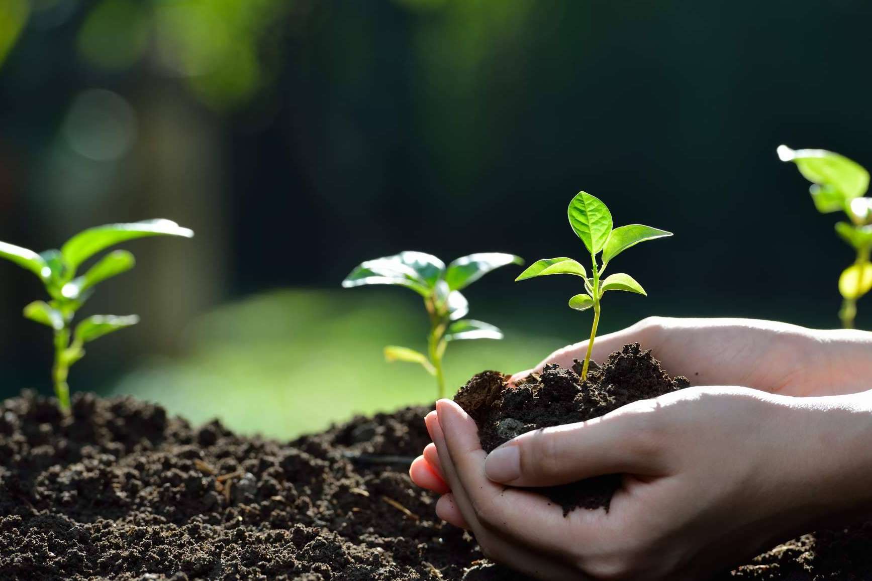 El sistema minero sostenible y ecológico llamado GreenAir