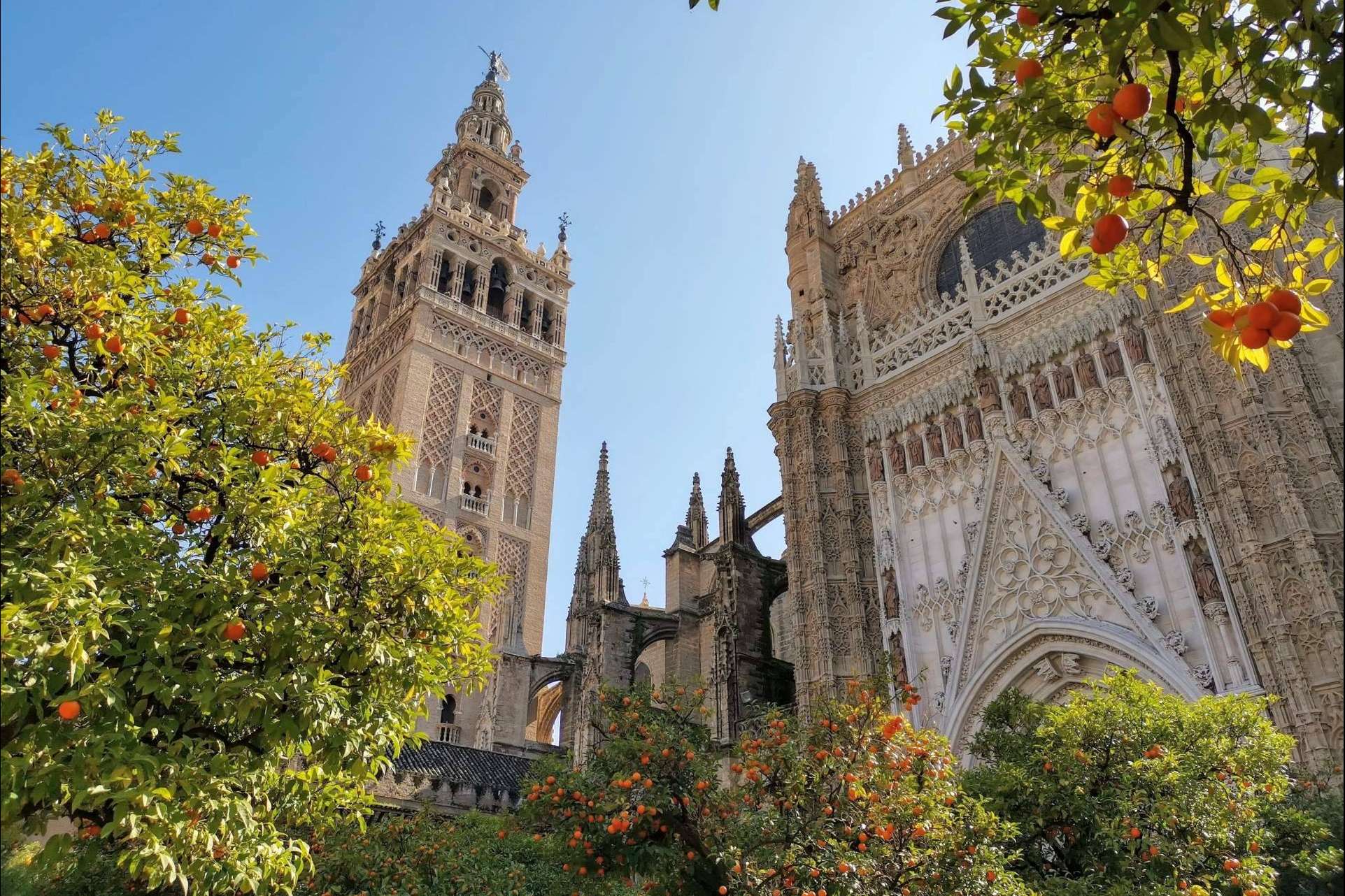 ¿Cómo son las visitas guiadas en Sevilla con Tu guía de Sevilla?