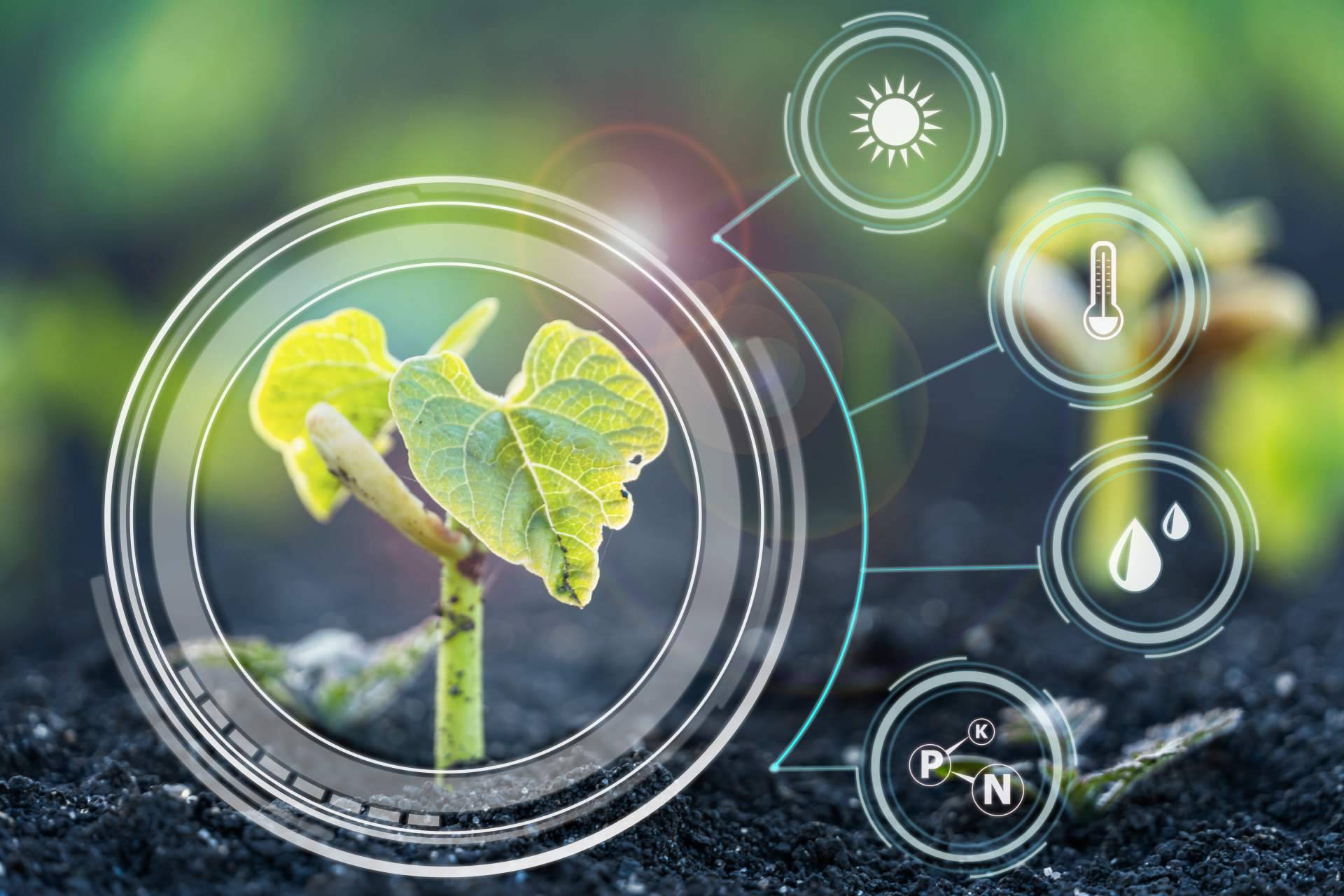 La internet de las cosas ofrece una agricultura inteligente