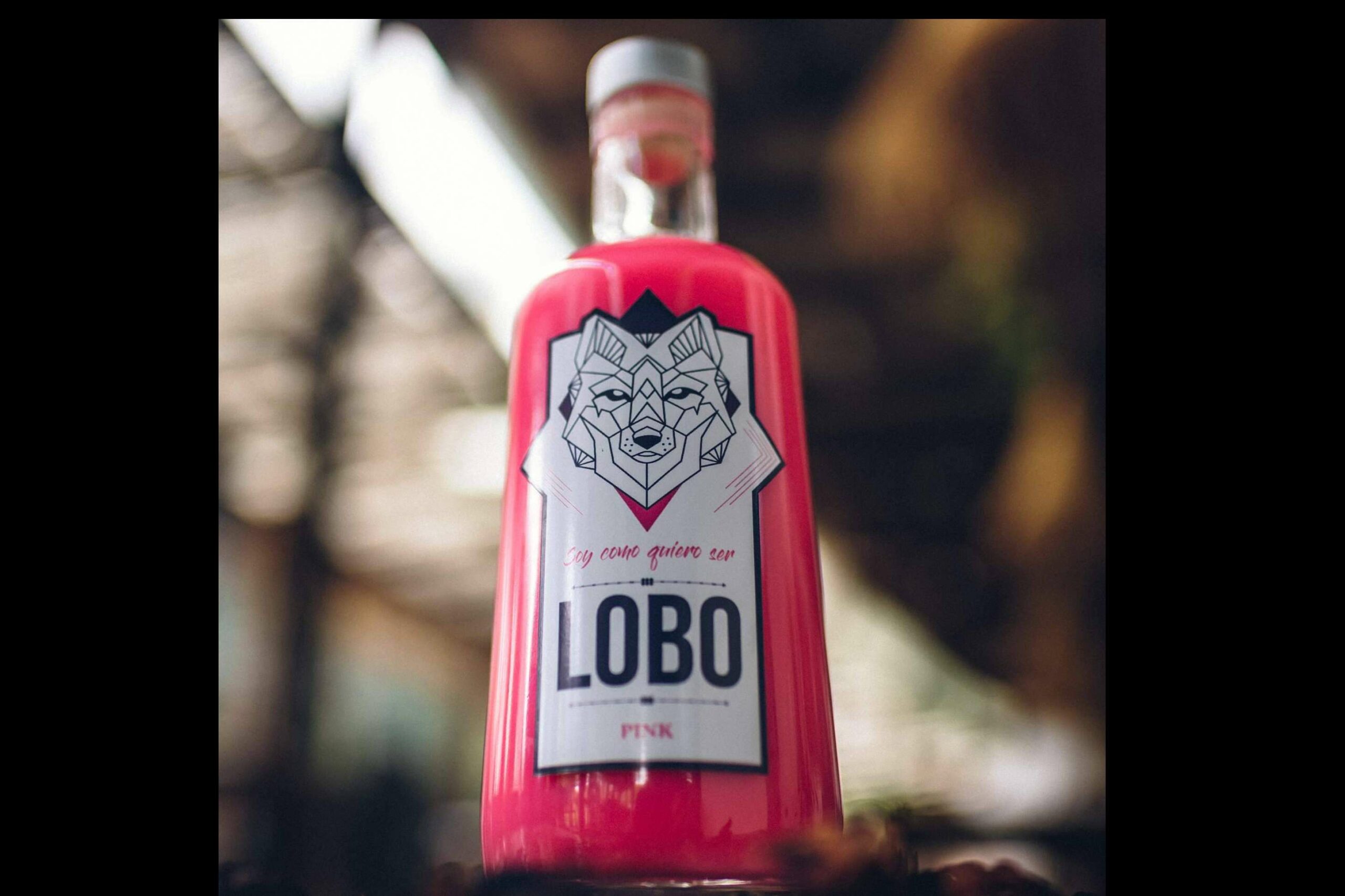 A la conquista de España, de sur a norte, LOBO tequila