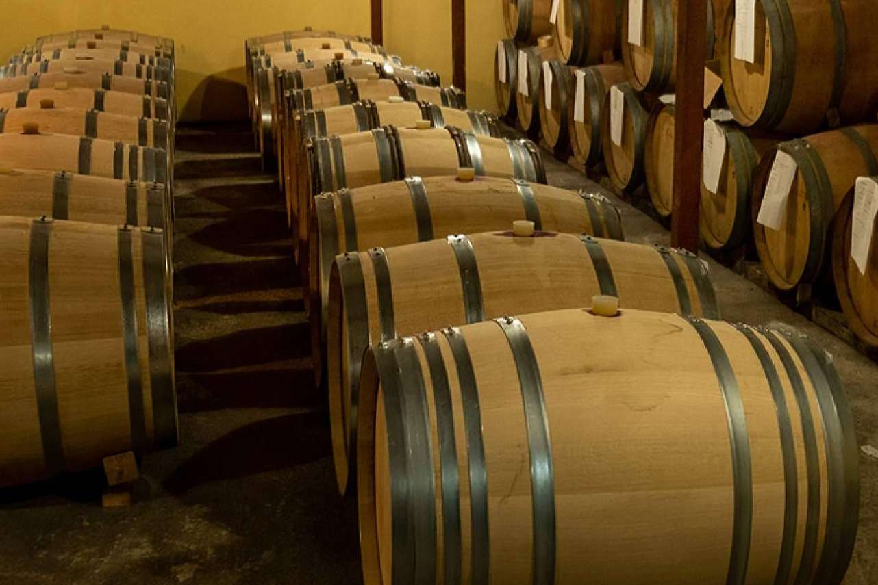 3.10 Celler, la maravillosa experiencia de disfrutar de vinos ecológicos