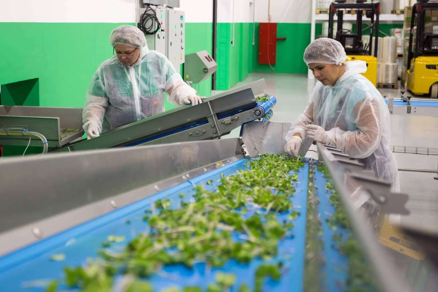Certificación y registro de la Huella de Carbono de las empresas en la Región de Murcia