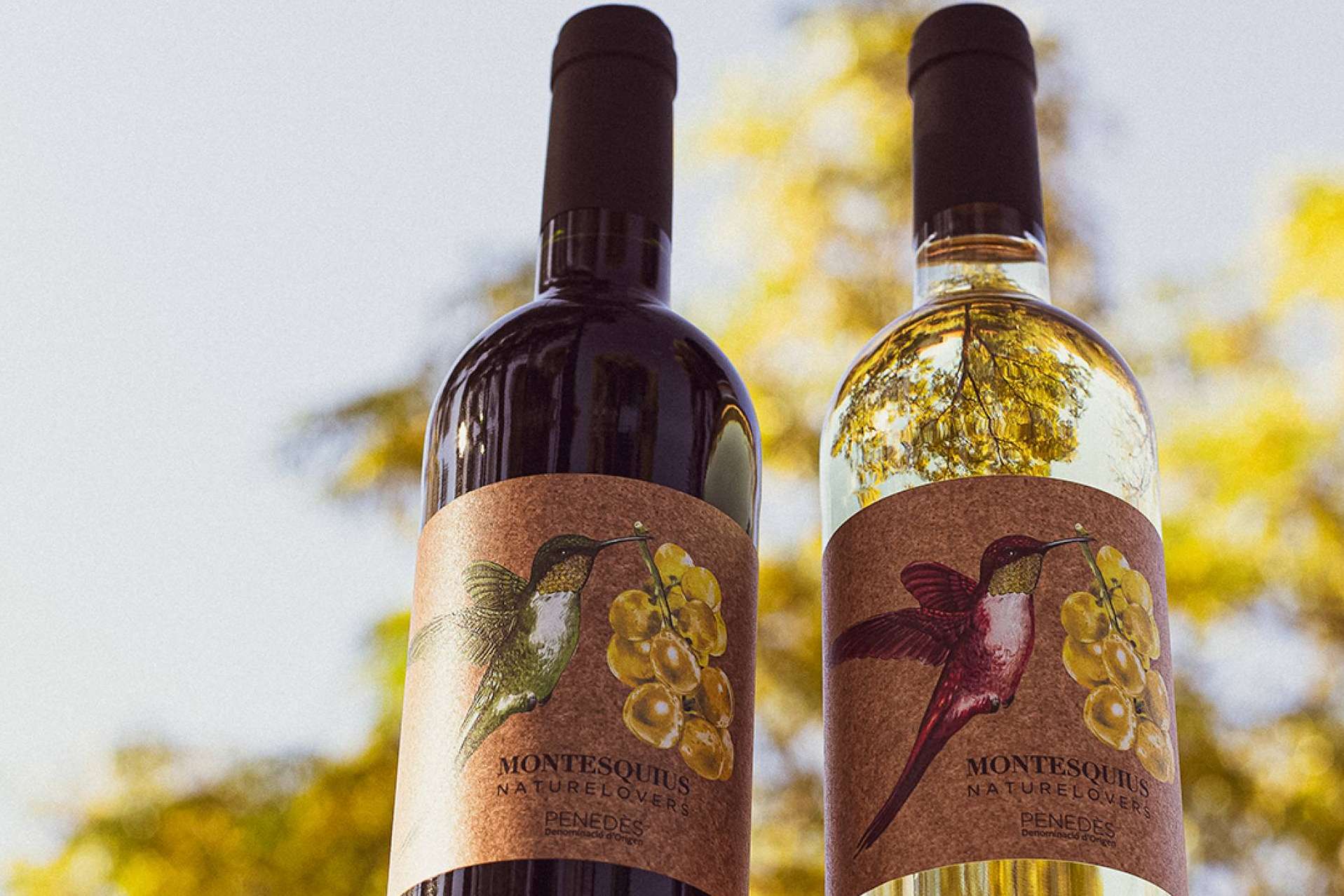 Vinos y cavas, beberse la naturaleza