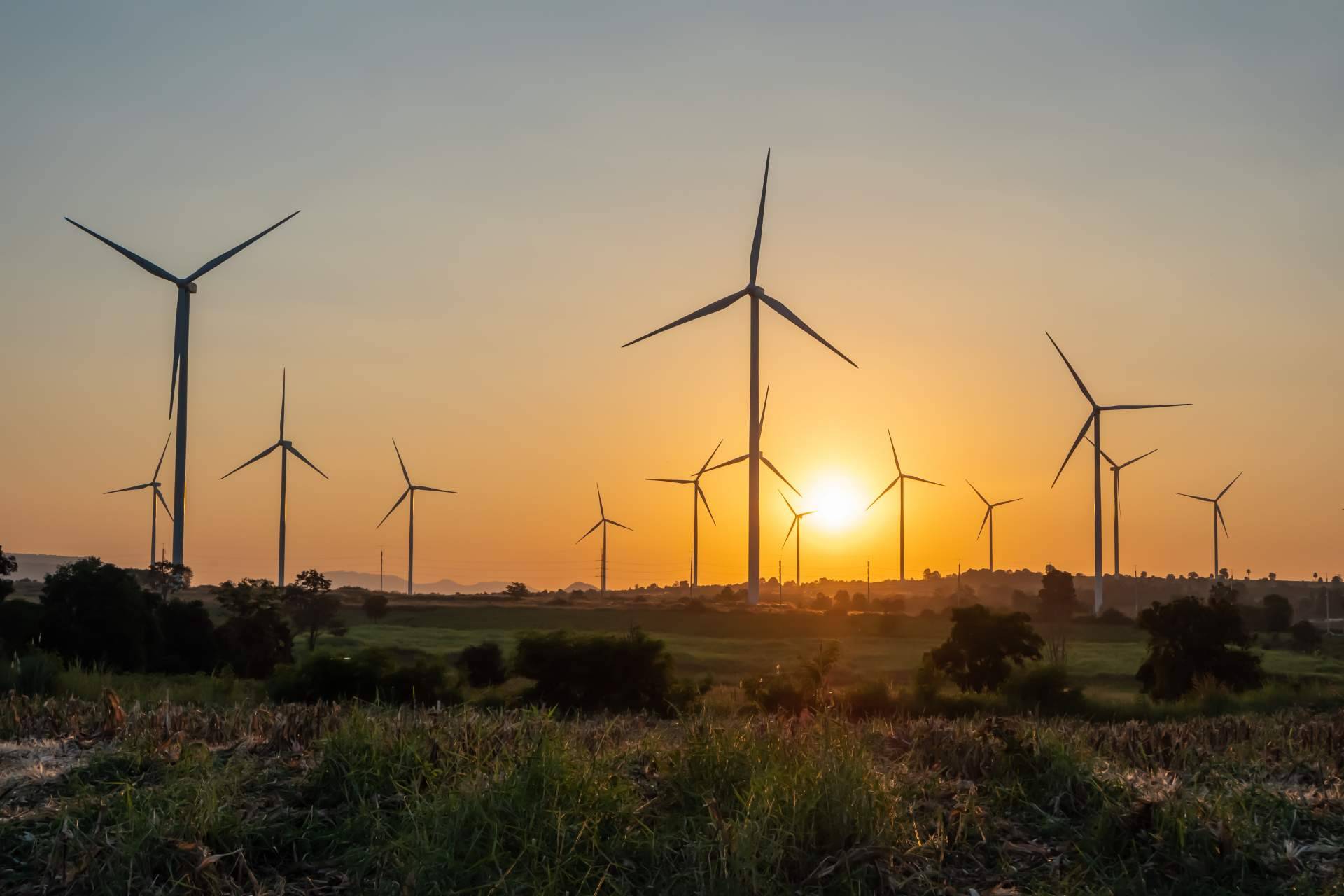 Curso de actualidad, finanzas y control de gestión empresas de energías renovables con MCP Formación