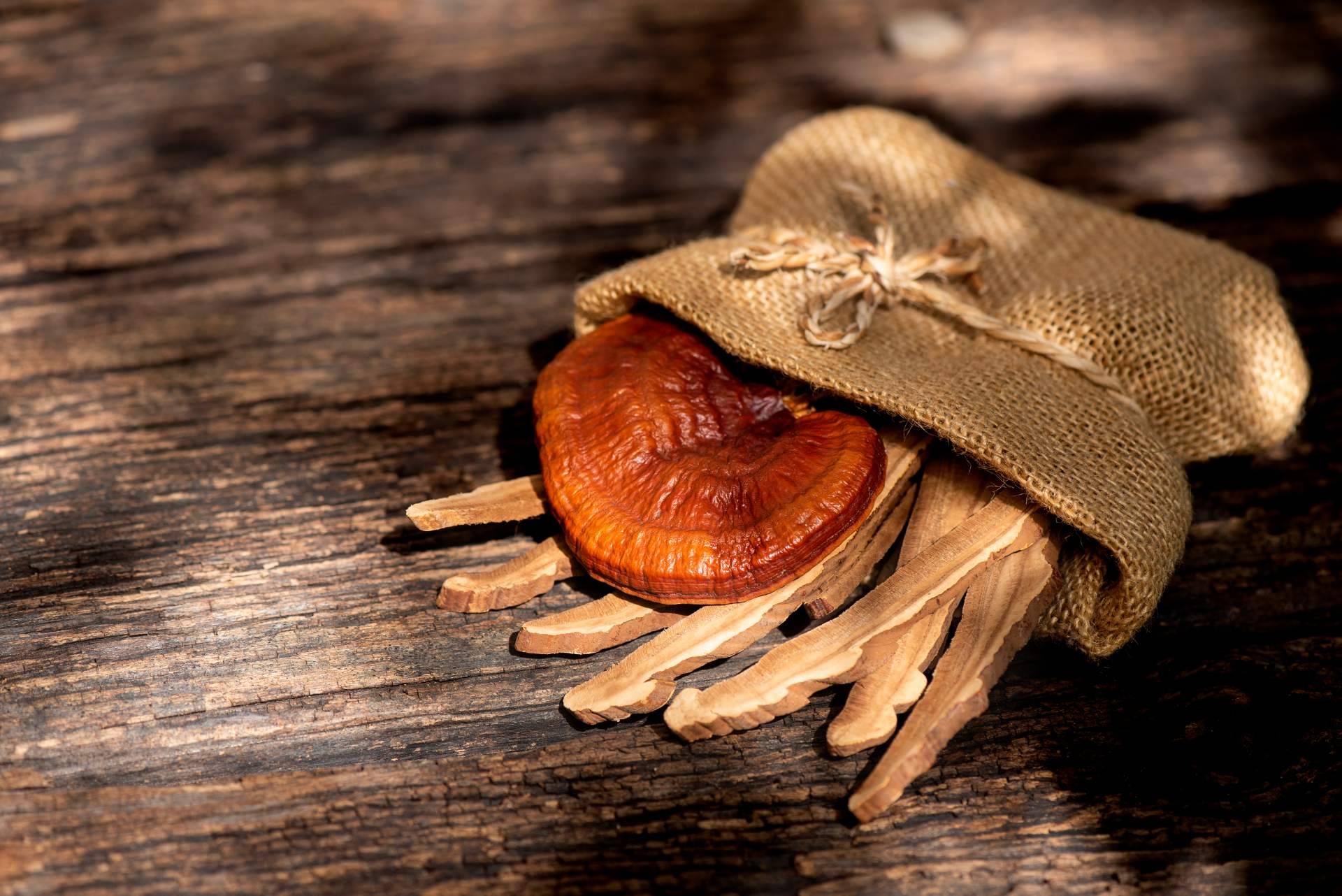 Un aliado alternativo para mejorar la salud y el bienestar, el hongo Reishi