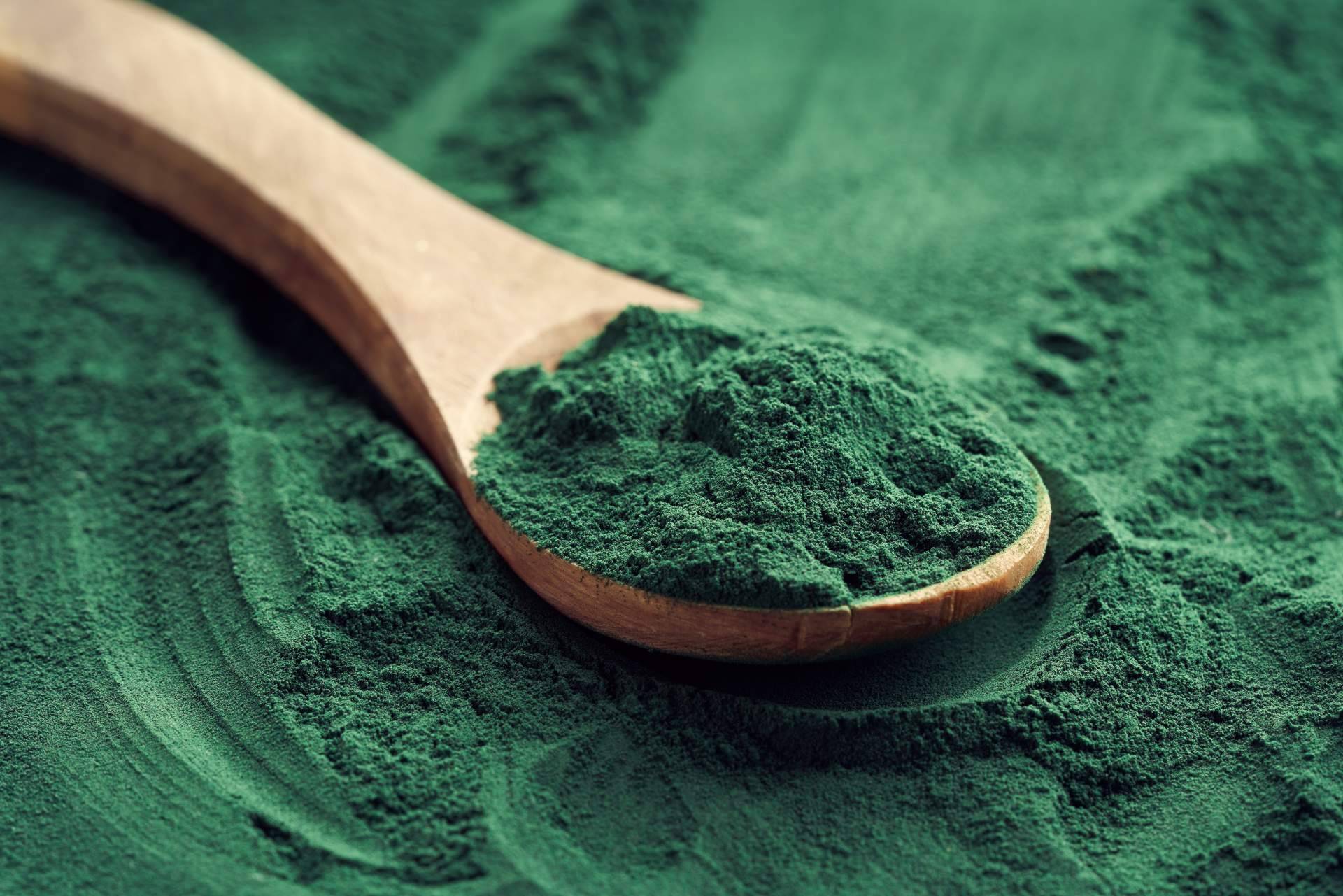 ¿Qué es la espirulina en polvo? Sus propiedades y beneficios, por