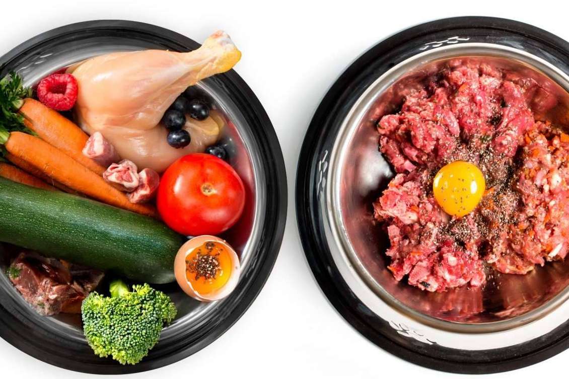 Los beneficios que ofrece la dieta BARF a los perros
