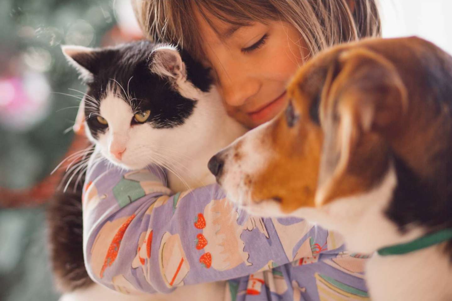 La tienda de accesorios para mascotas que apoya causas benéficas, Pets4Good