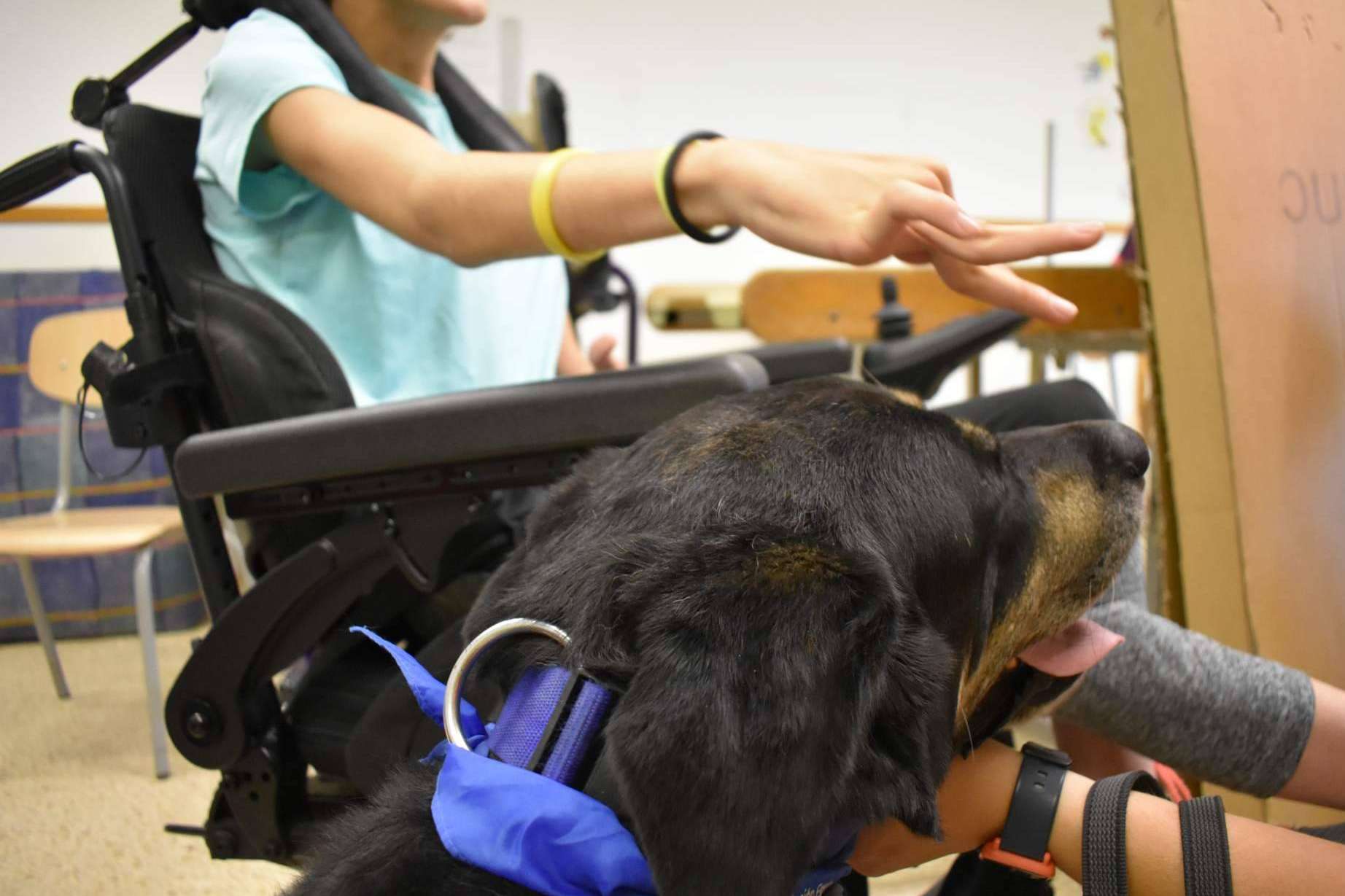 La Asociación Española de Perros de Apoyo recomienda la terapia asistida con perros