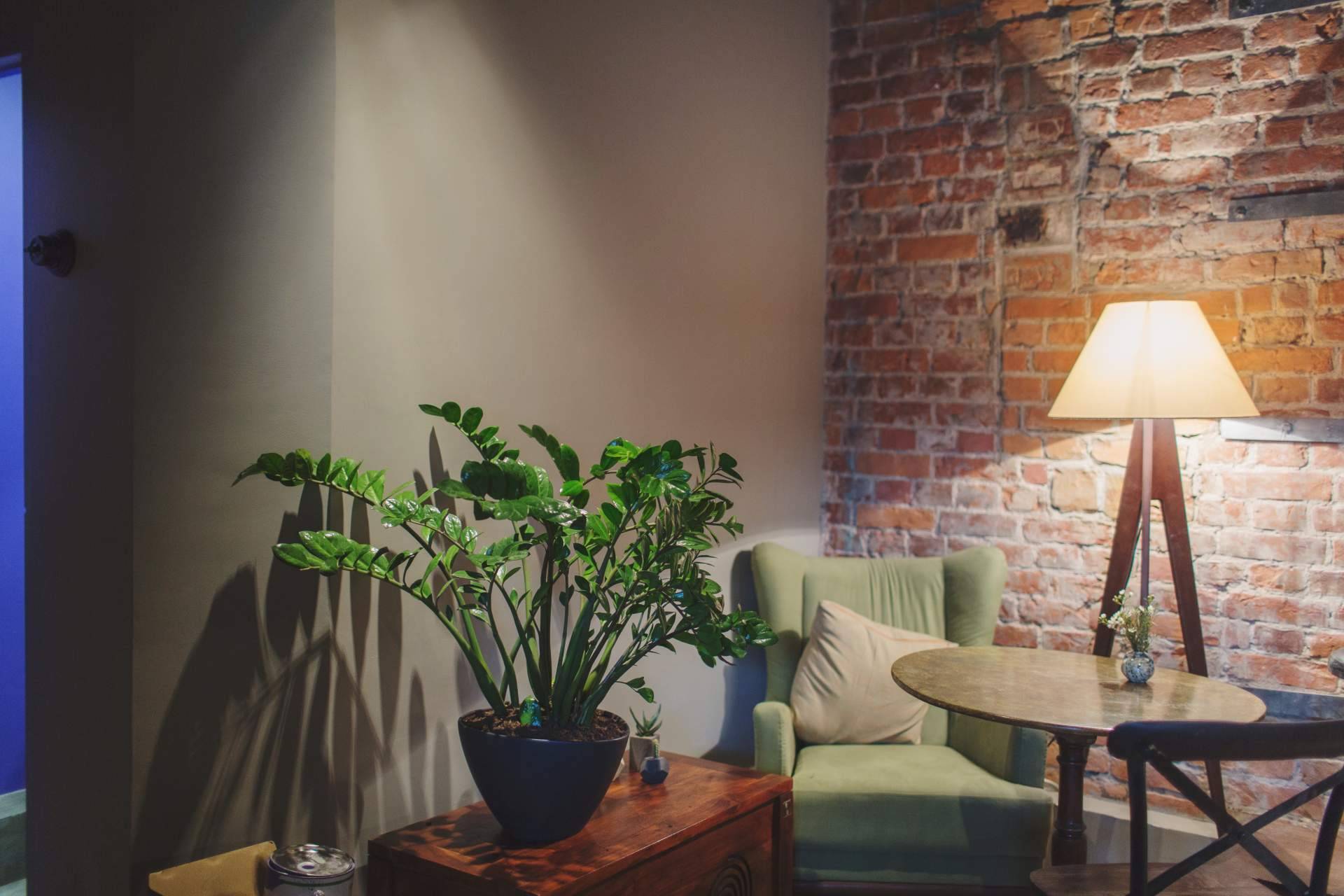 Sonia Ramos, ¿por qué es importante el Feng Shui en la decoración del hogar?
