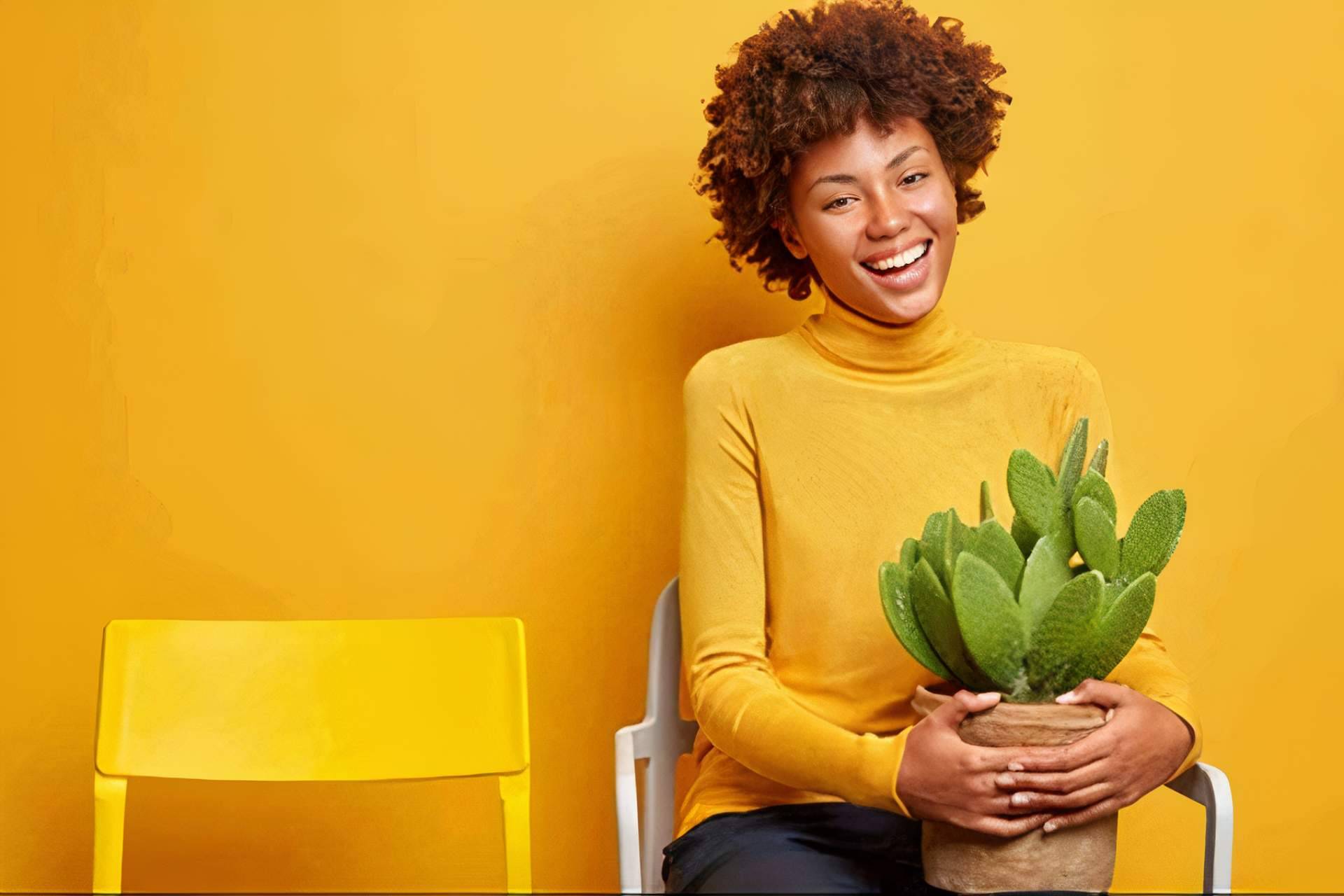 Decoración con los diferentes tipos de cactus
