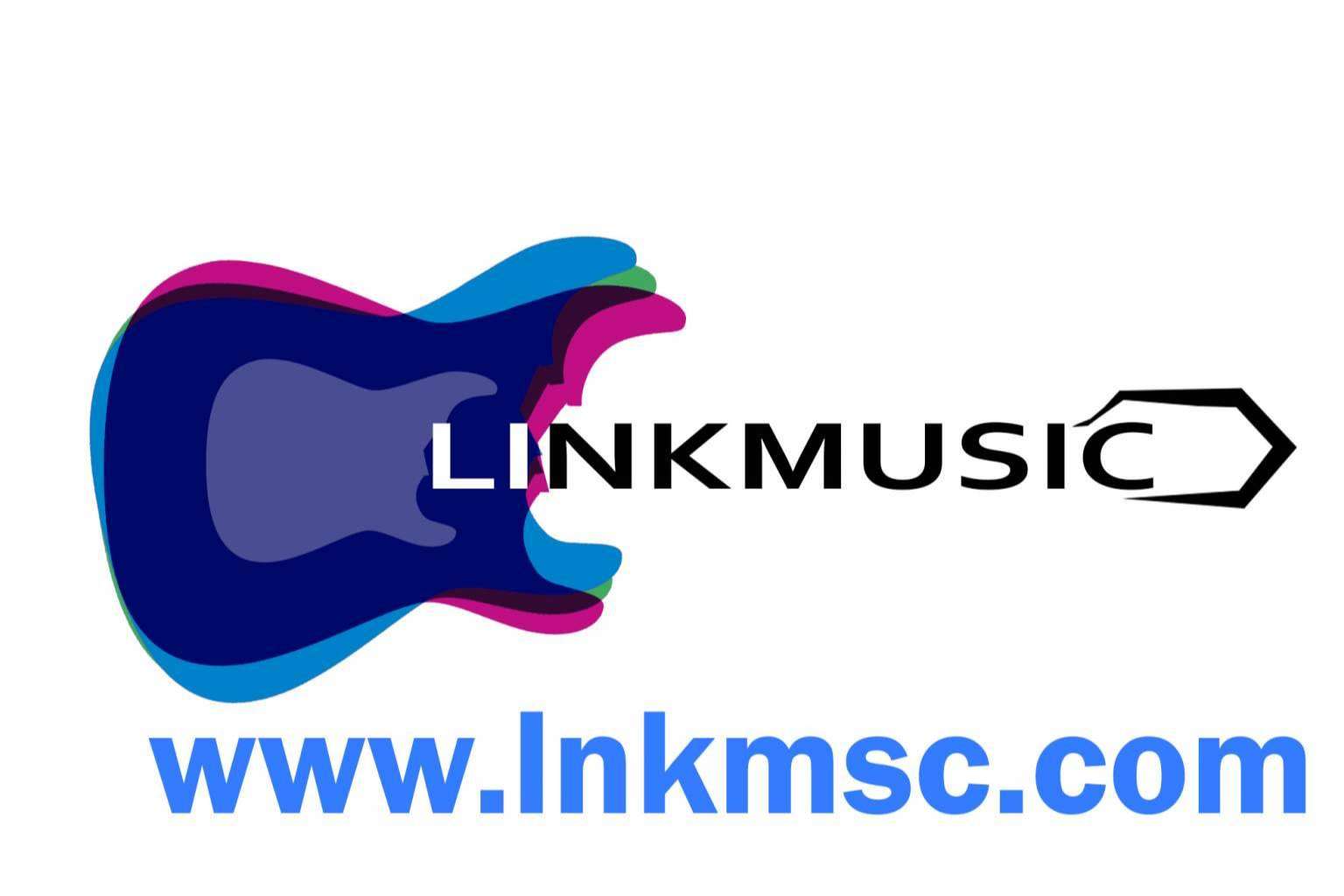 Una plataforma que da voz a artistas emergentes, LinkMusic