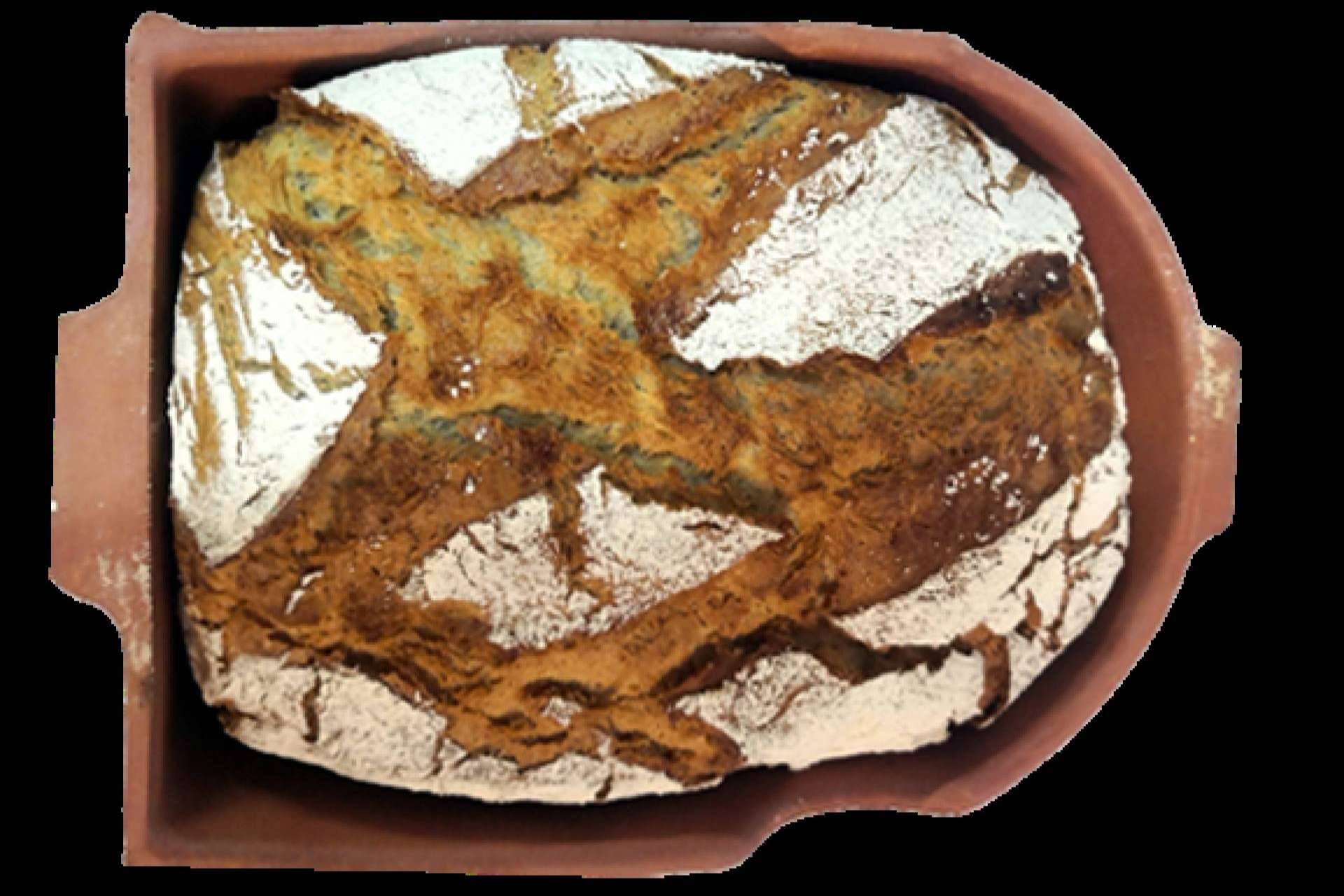 Vivir una excelente experiencia gastronómica en casa de la mano de Sucus Terracota