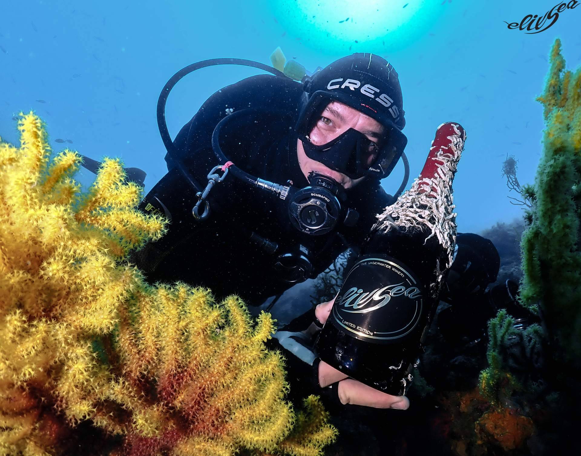 El innovador proyecto de ElixSea; el encanto único del vino submarino