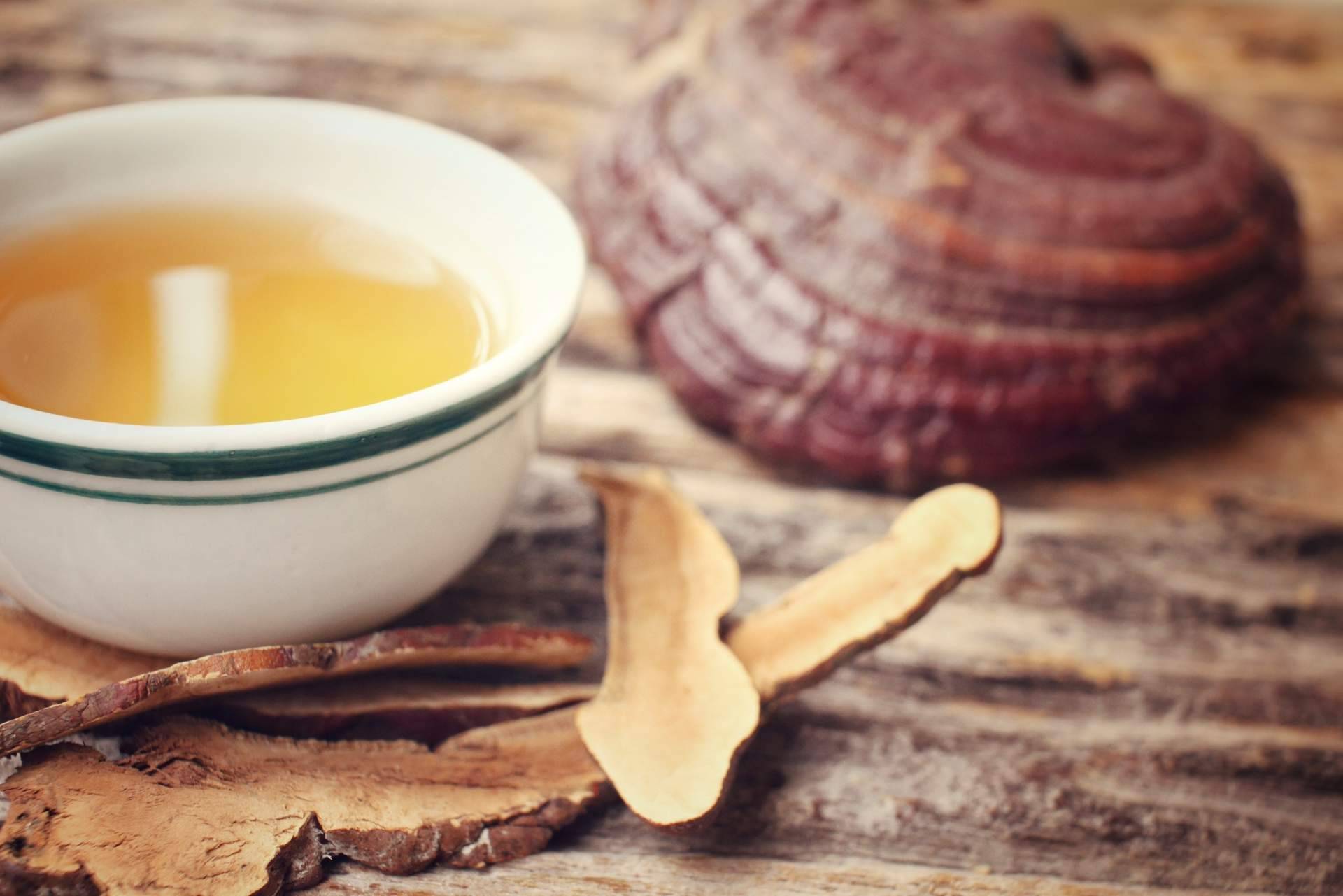 La Tienda de Cristóbal dispone de productos cosméticos con Dxn Ganoderma