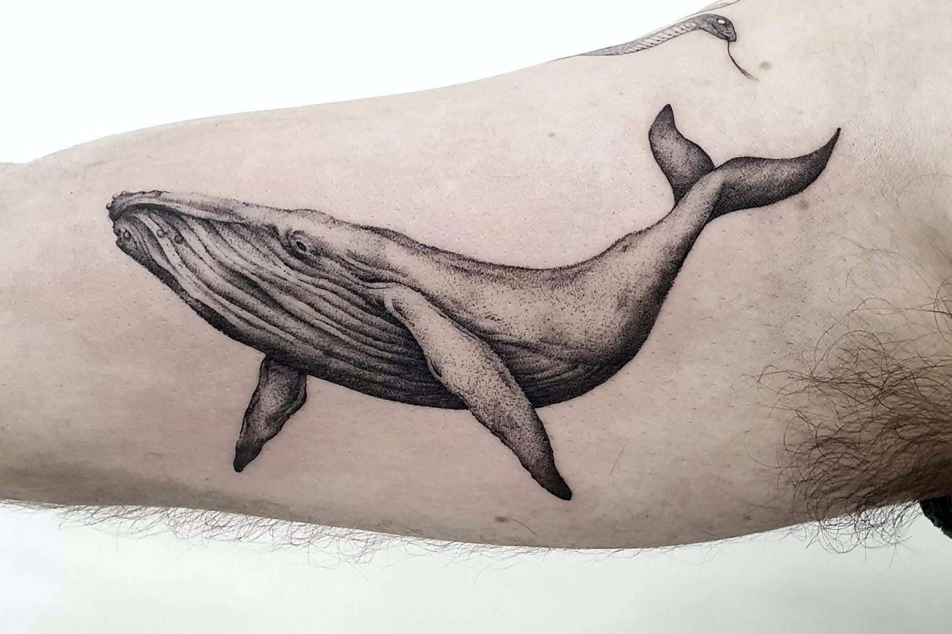 Los consejos de Vieja Escuela Tattoo para cuidar un tatuaje recién hecho durante el verano