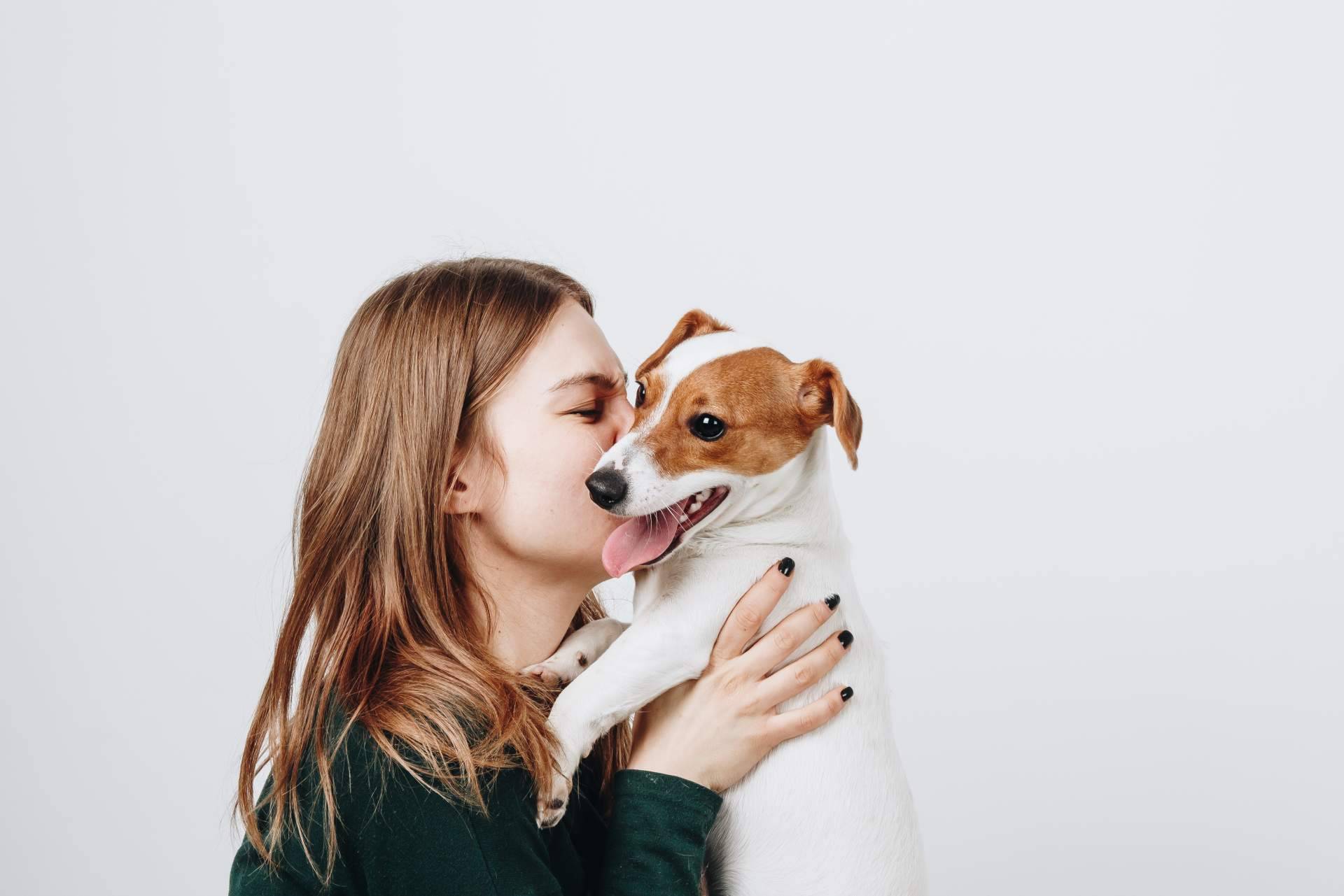 ¿Por qué es imprescindible profesionalizarse en el sector animales de compañía?, por Antrozoologia.com