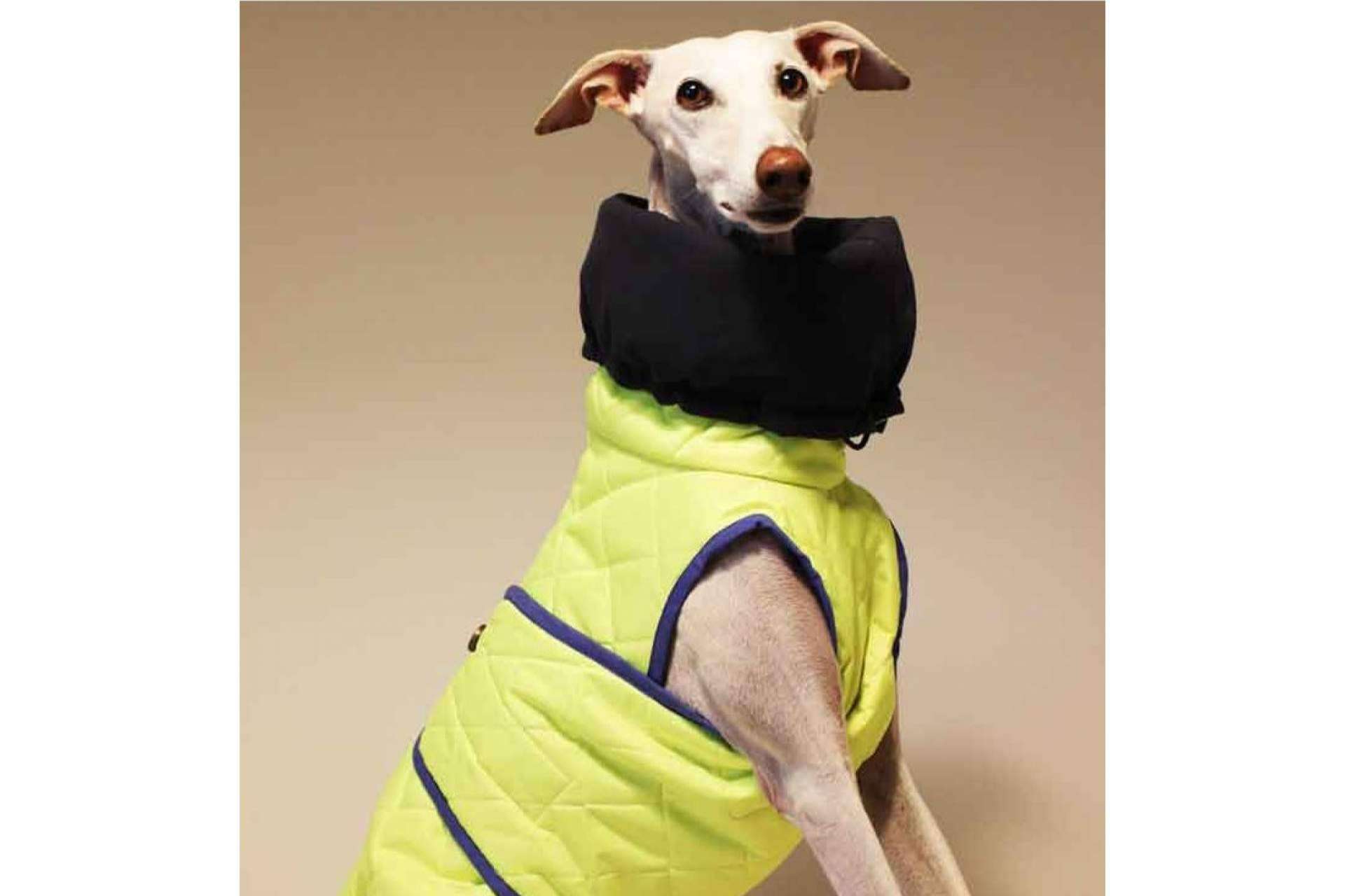 Lucas & Lola dispone de un amplio catálogo de ropa para mascotas