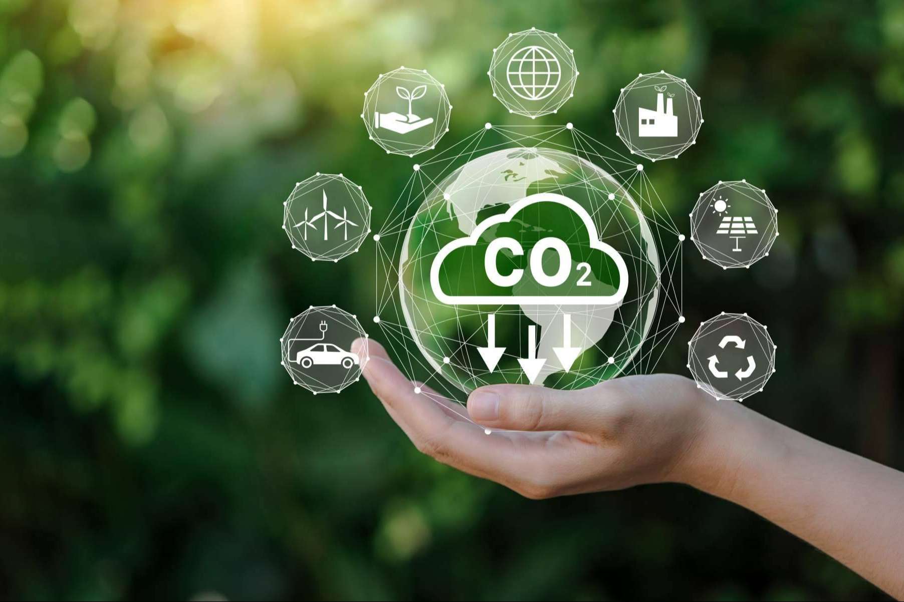 Soluciones innovadoras de ClimateTrade para que las empresas puedan compensar la huella de carbono