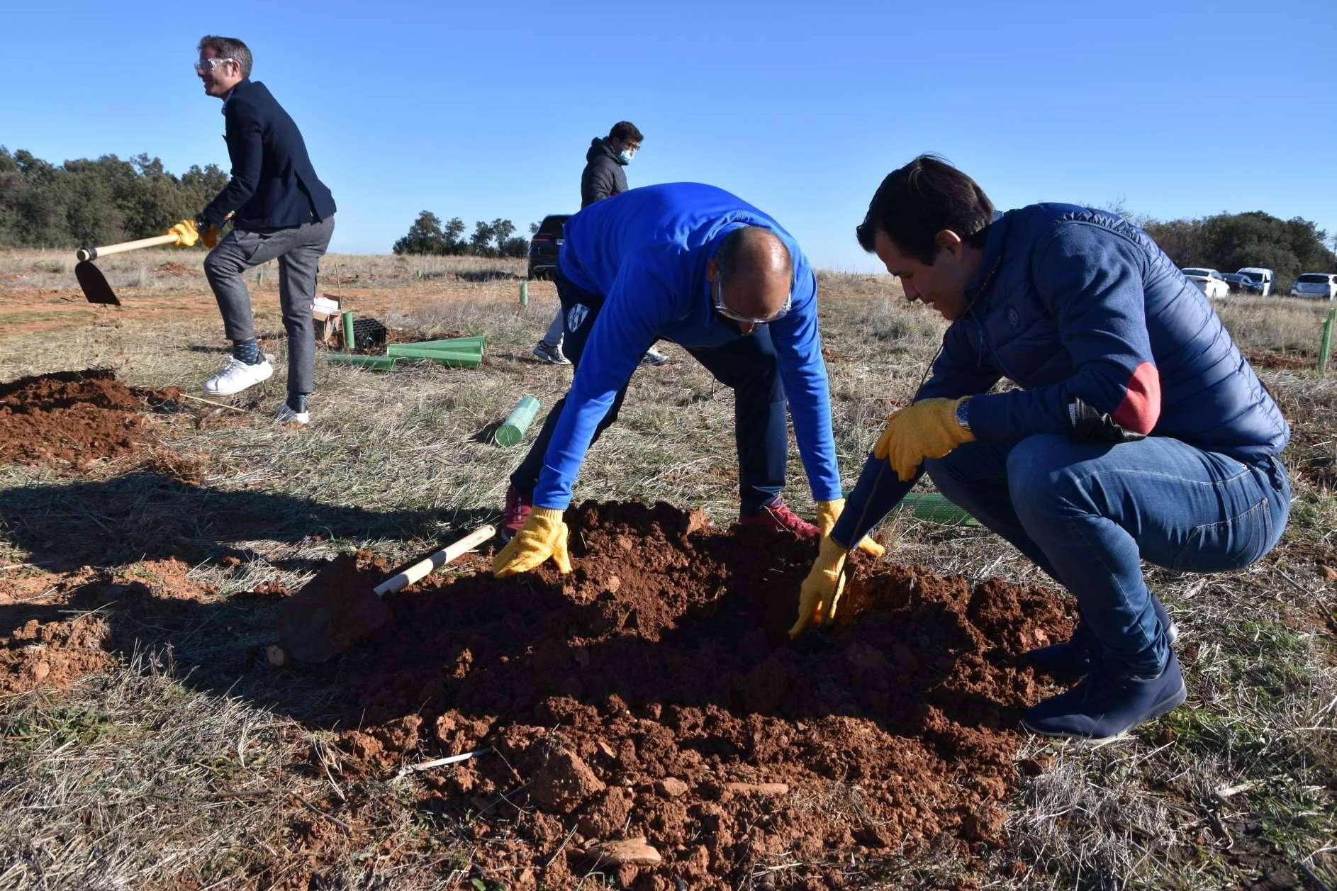 Beneficios de los planes de RSC medioambientales, la plantación de árboles y apadrinamiento de bosques