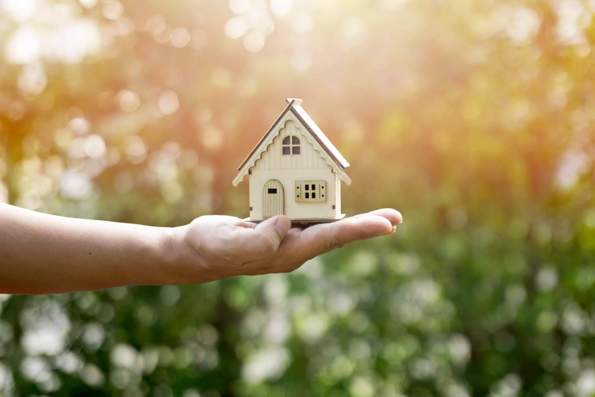 Elegir entre una tarifa fija o indexada con la ayuda de Energybox