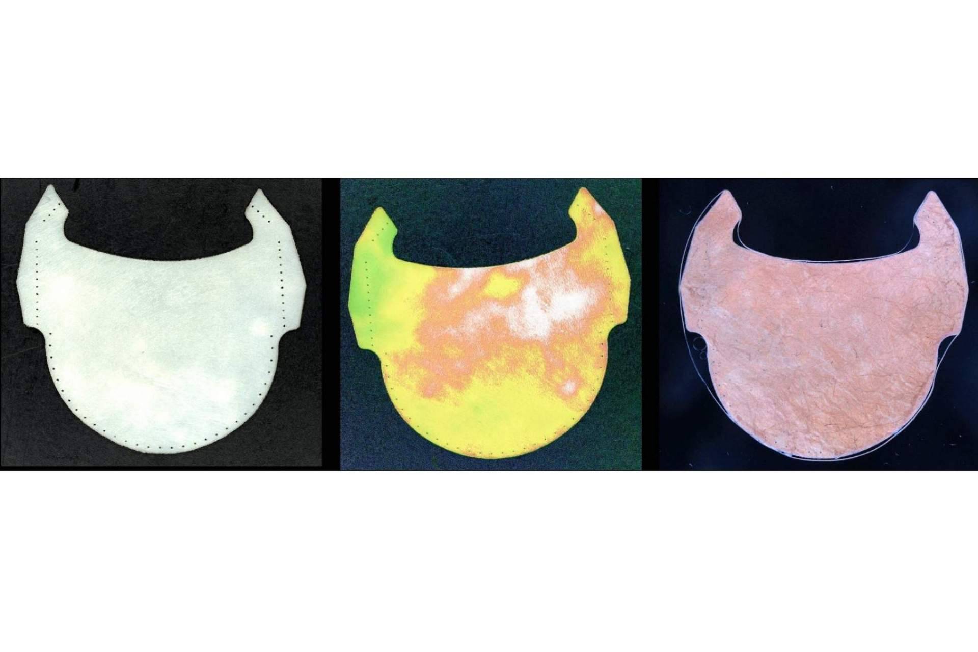 Las válvulas coronarias fabricadas con tejido de corazón animal serán mucho más eficaces y duraderas