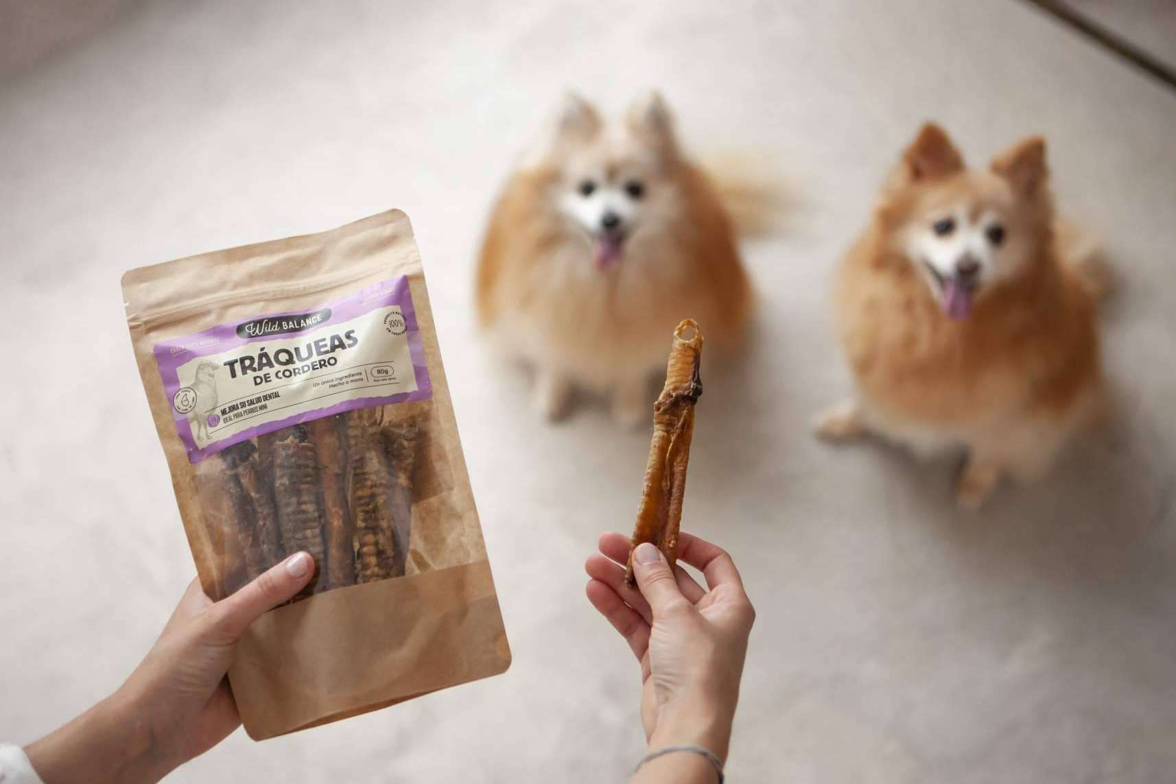 Wild Balance apuesta por la alimentación natural para mascotas y aterriza en Dubái