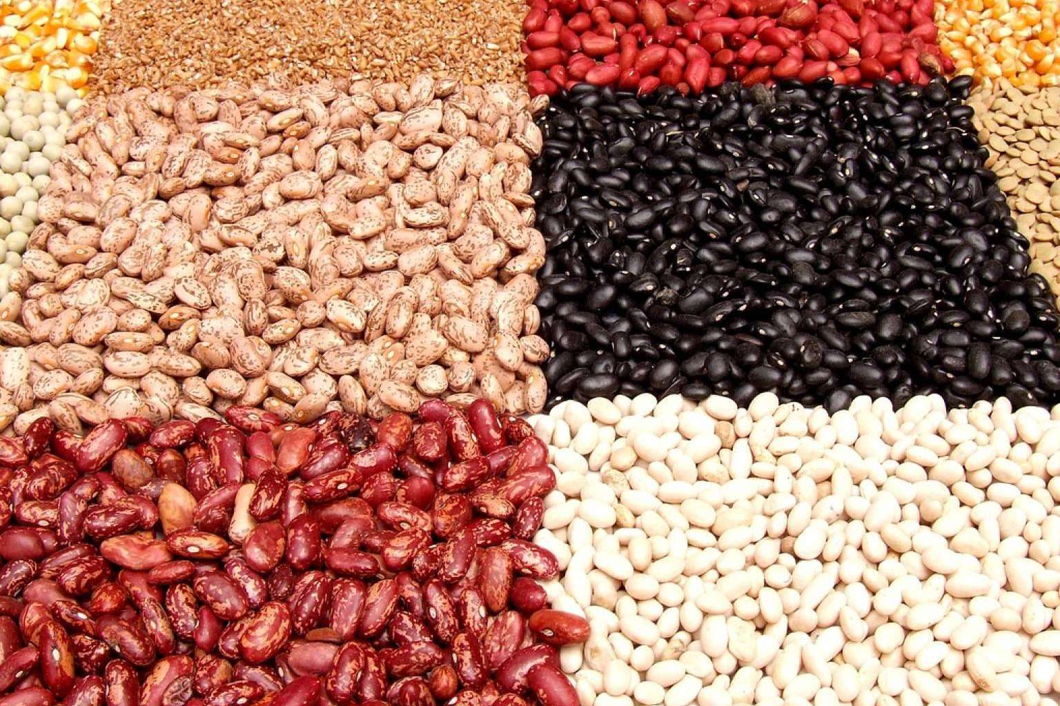 Una nueva web que ayuda a sus clientes a tener una alimentación más saludable