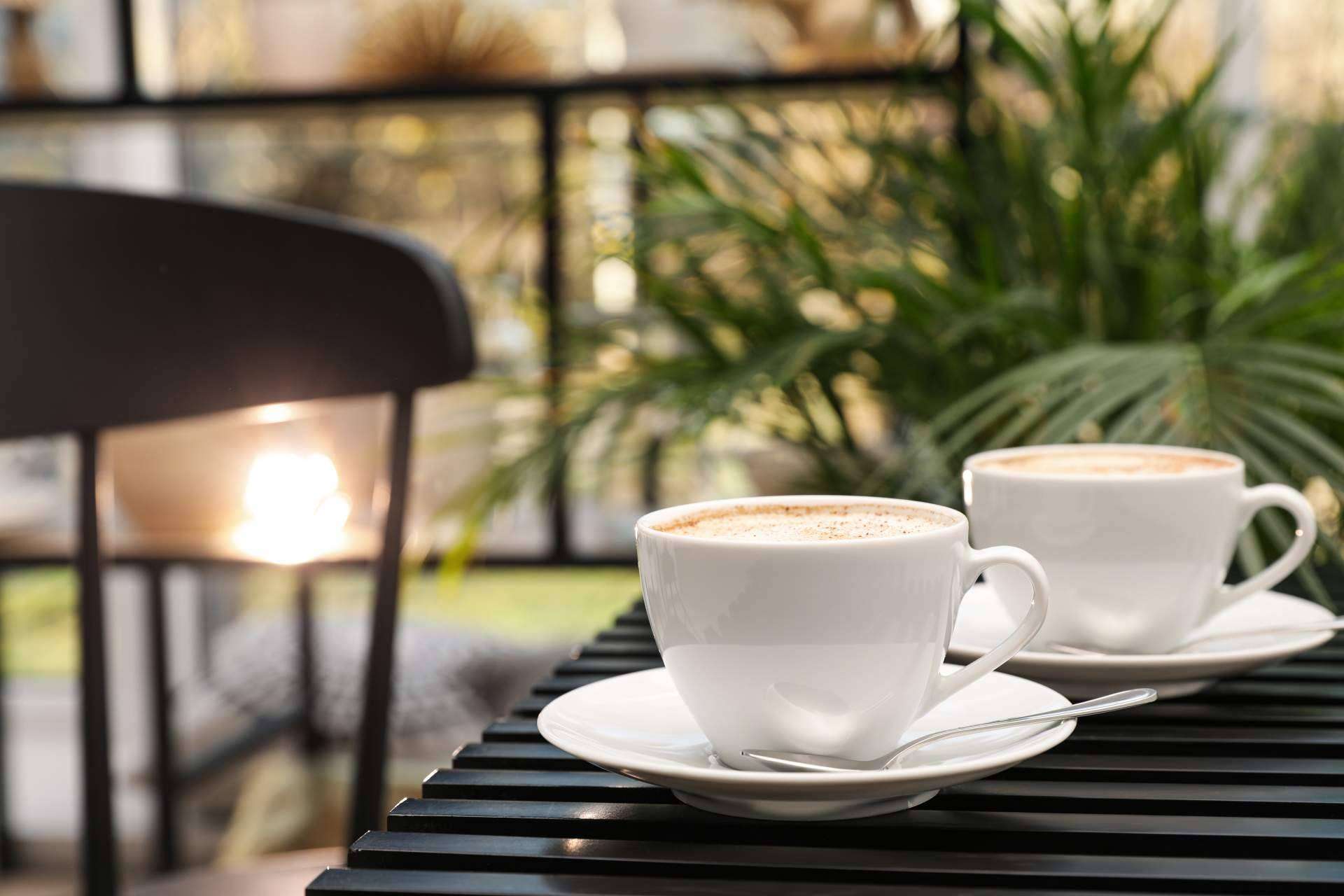 Disfrutar de todo el sabor del café importado de Vietnam, de la mano de Cafés Legend
