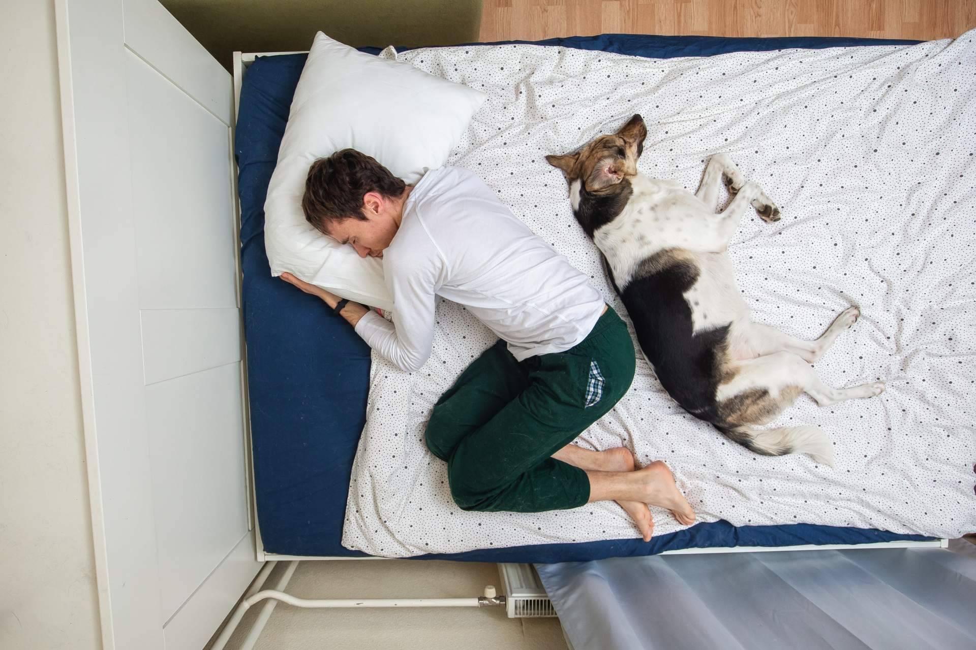 Miwuki Pet Shelter destaca los puntos principales de la nueva ley de protección animal