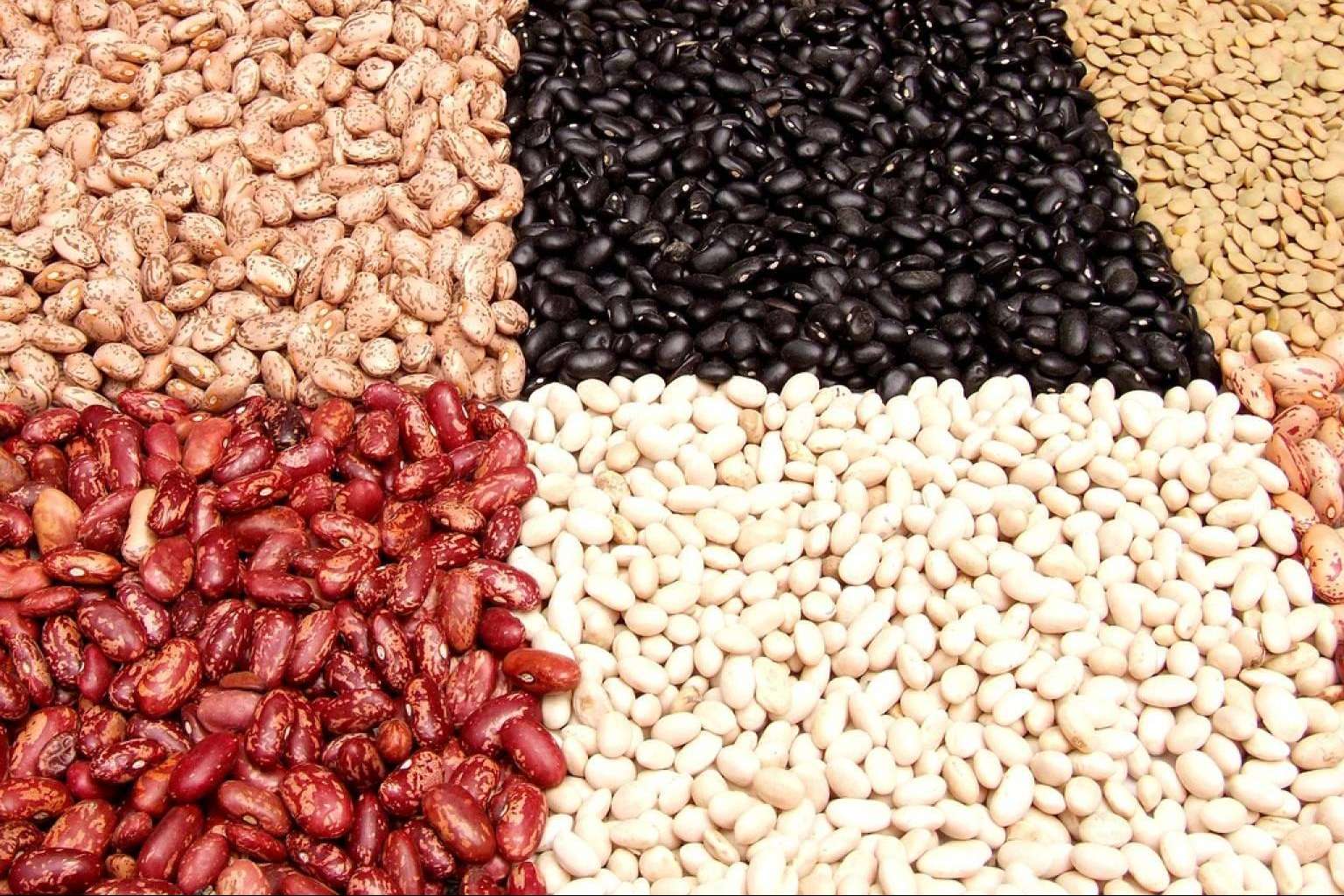 Las ventajas de comprar alimentos a granel, con Bowl Vegetal