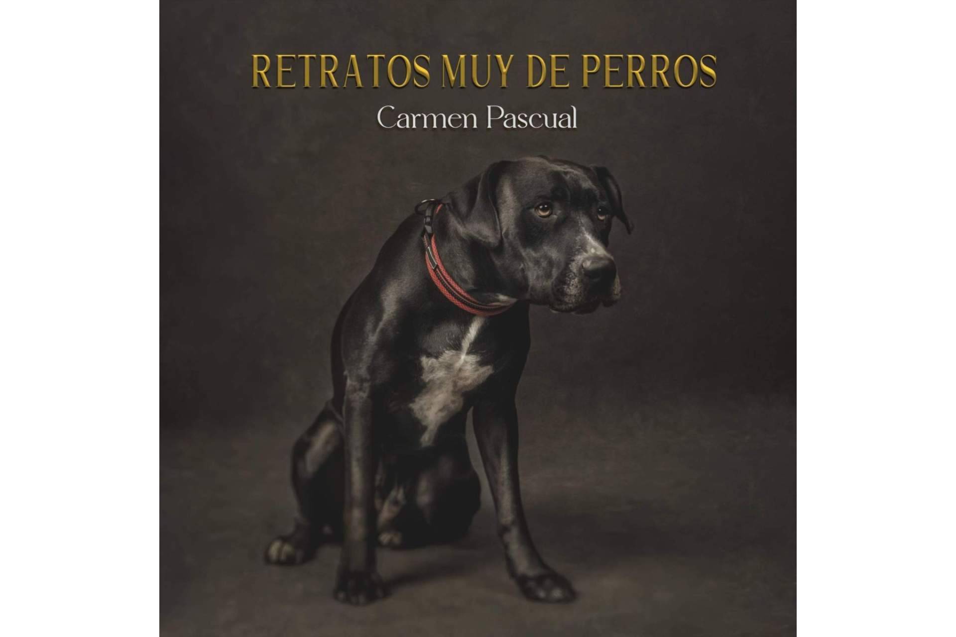 'Retratos muy de perros', la obra de Carmen Pascual editada por Libros y Literatura