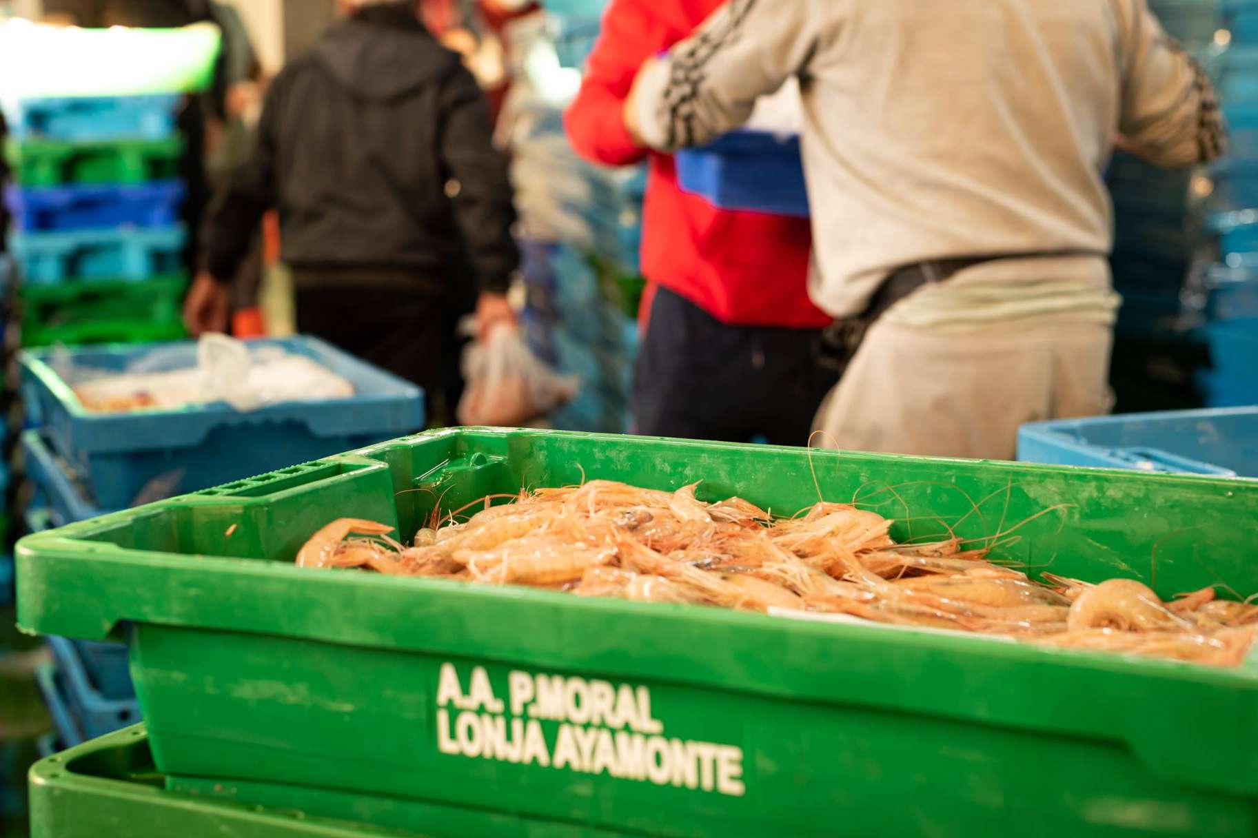 Lonja de Ayamonte facilita consumir marisco fresco delicioso