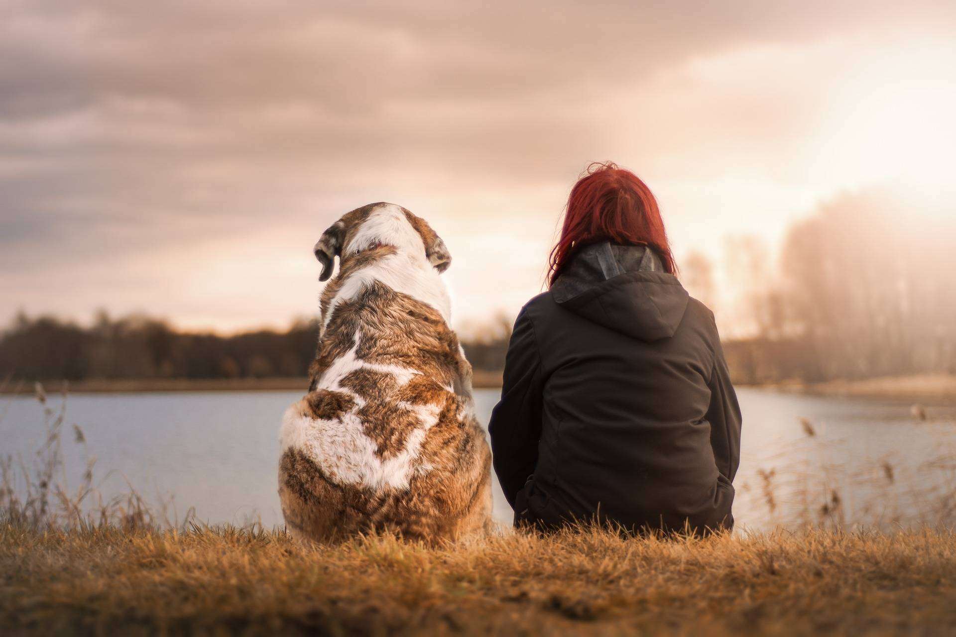 El Perro Feliz ayuda a acabar con la infelicidad laboral