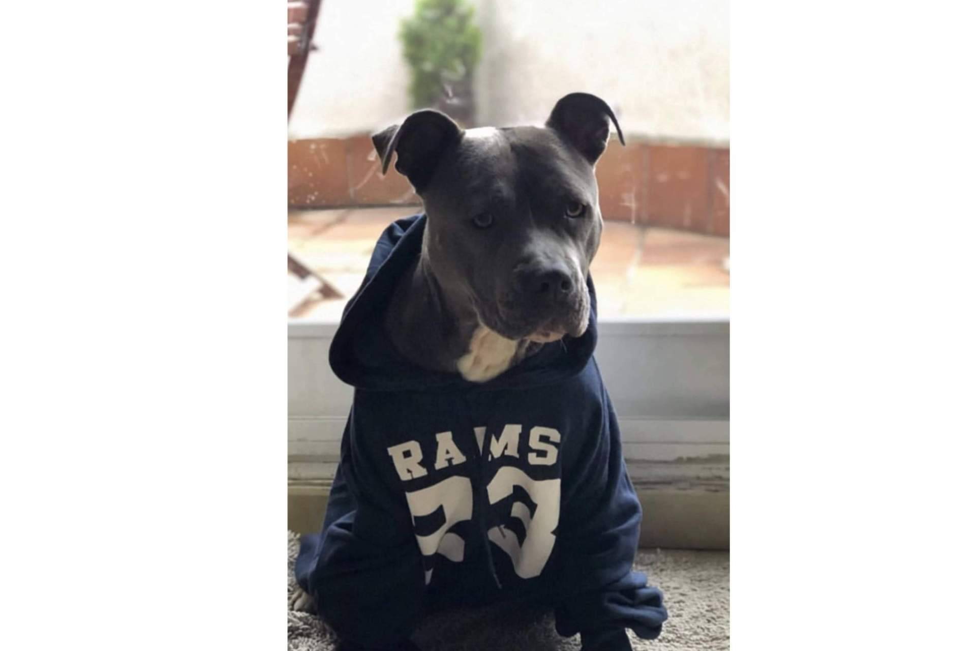 RAMS 23, la marca de estilo universitario que arrasa entre los jóvenes