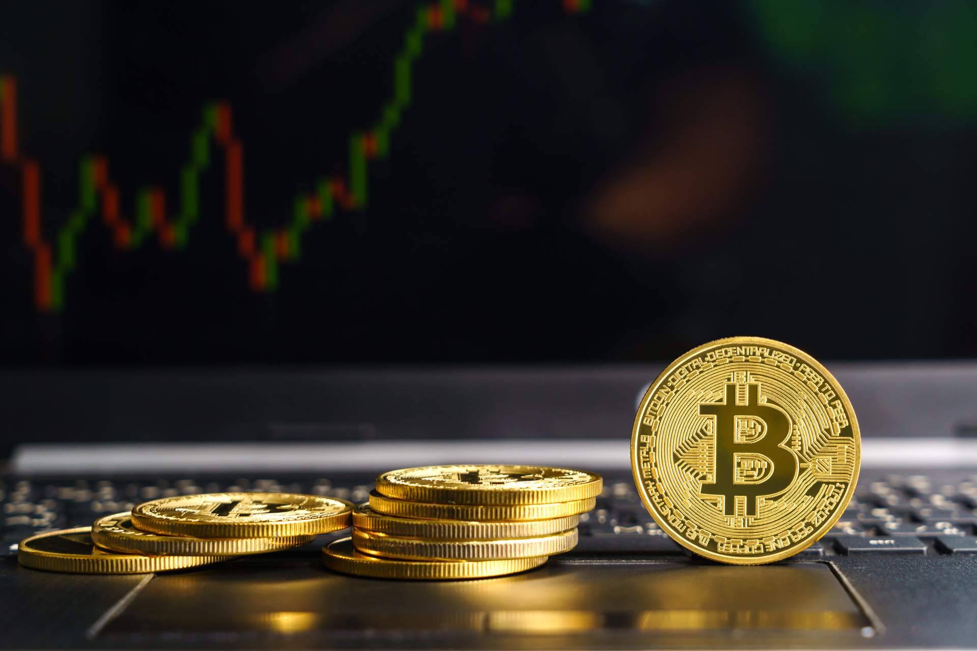 Los educadores financieros de Blockchain Sensei