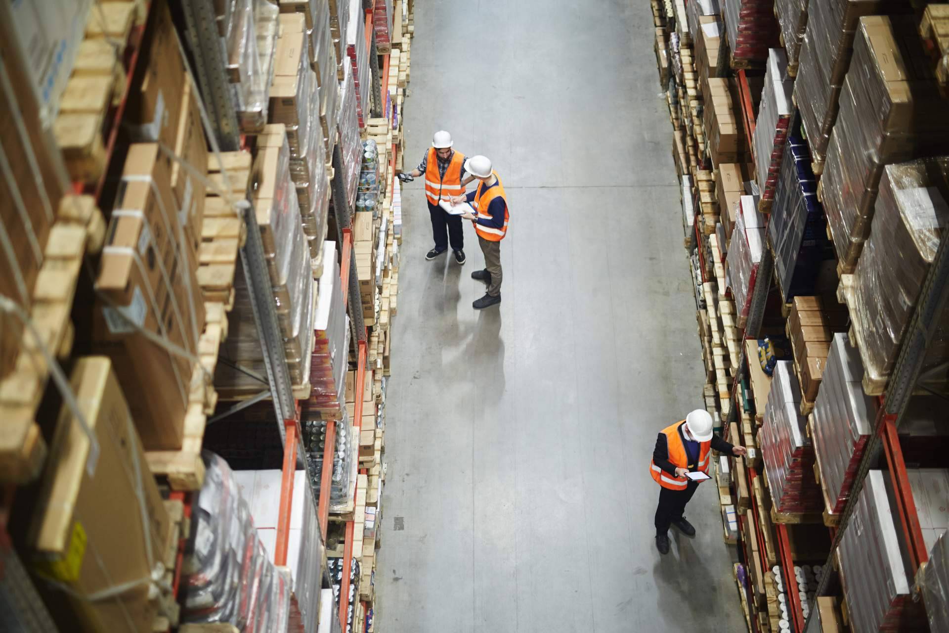 Servicios logísticos y almacenaje de la mano de Terra Logistika