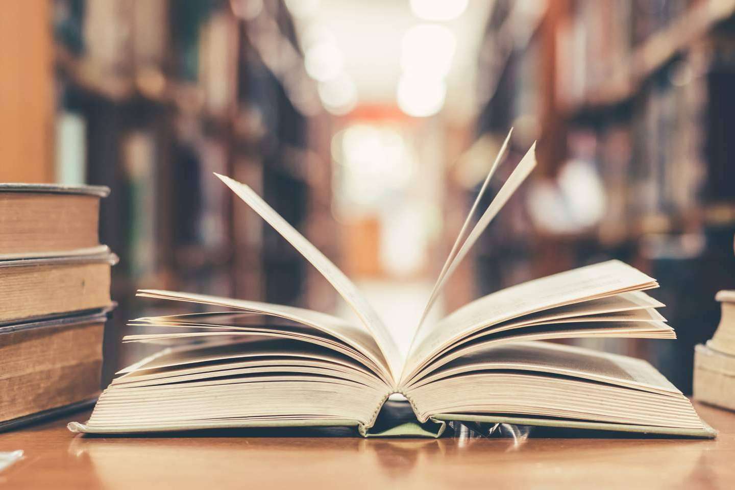 ¿Por qué son importantes las clases de historia particulares?