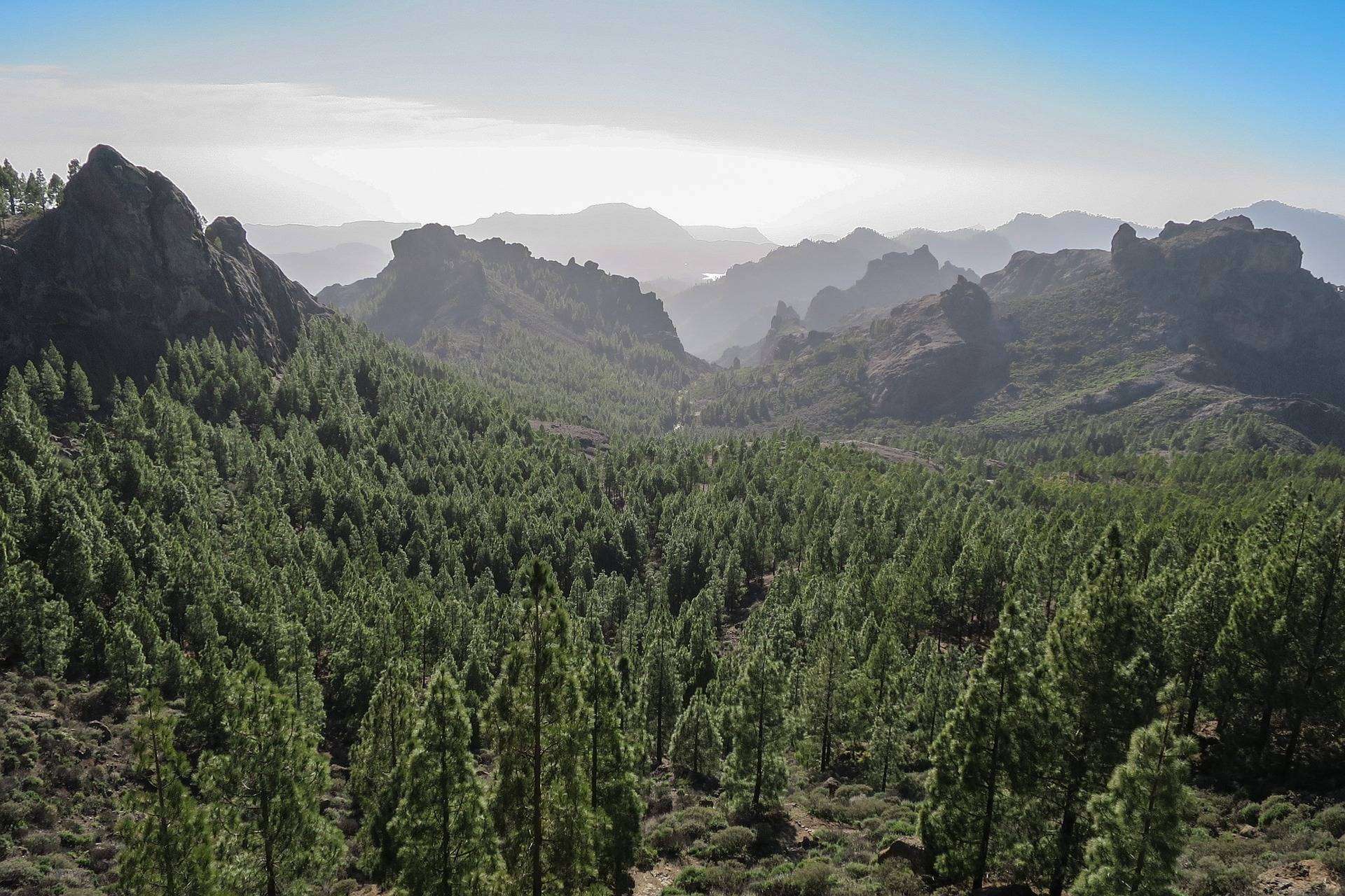 Disfrutar de unas vacaciones en Gran Canaria en cualquier época del año, de la mano de ISholidays.com