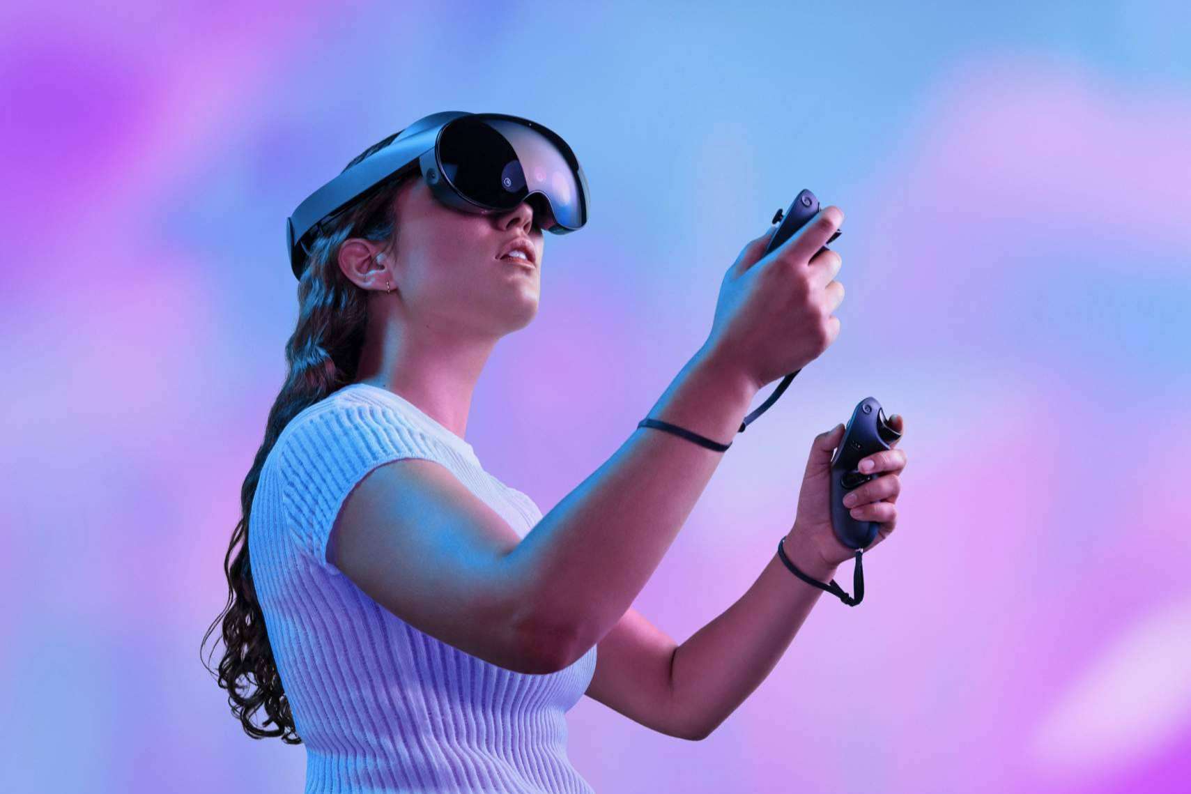 ¿Existe el zoo virtual?