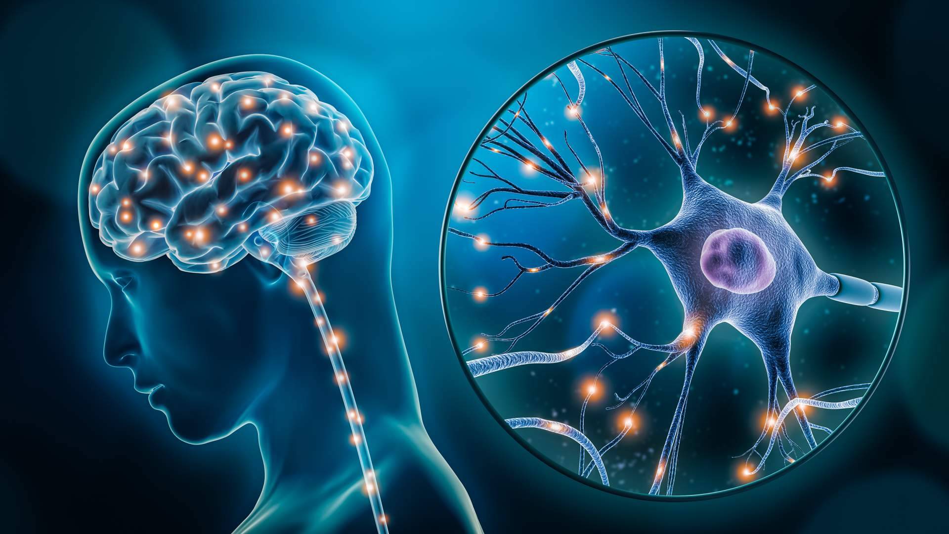 INIMA Rehabilitación propone actividades de estimulación cognitiva para el Parkinson