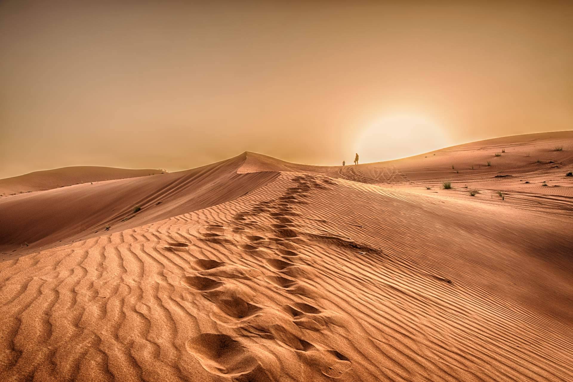 Camel Trekking Tours ofrece excursiones en camello a las dunas de Erg Chebbi